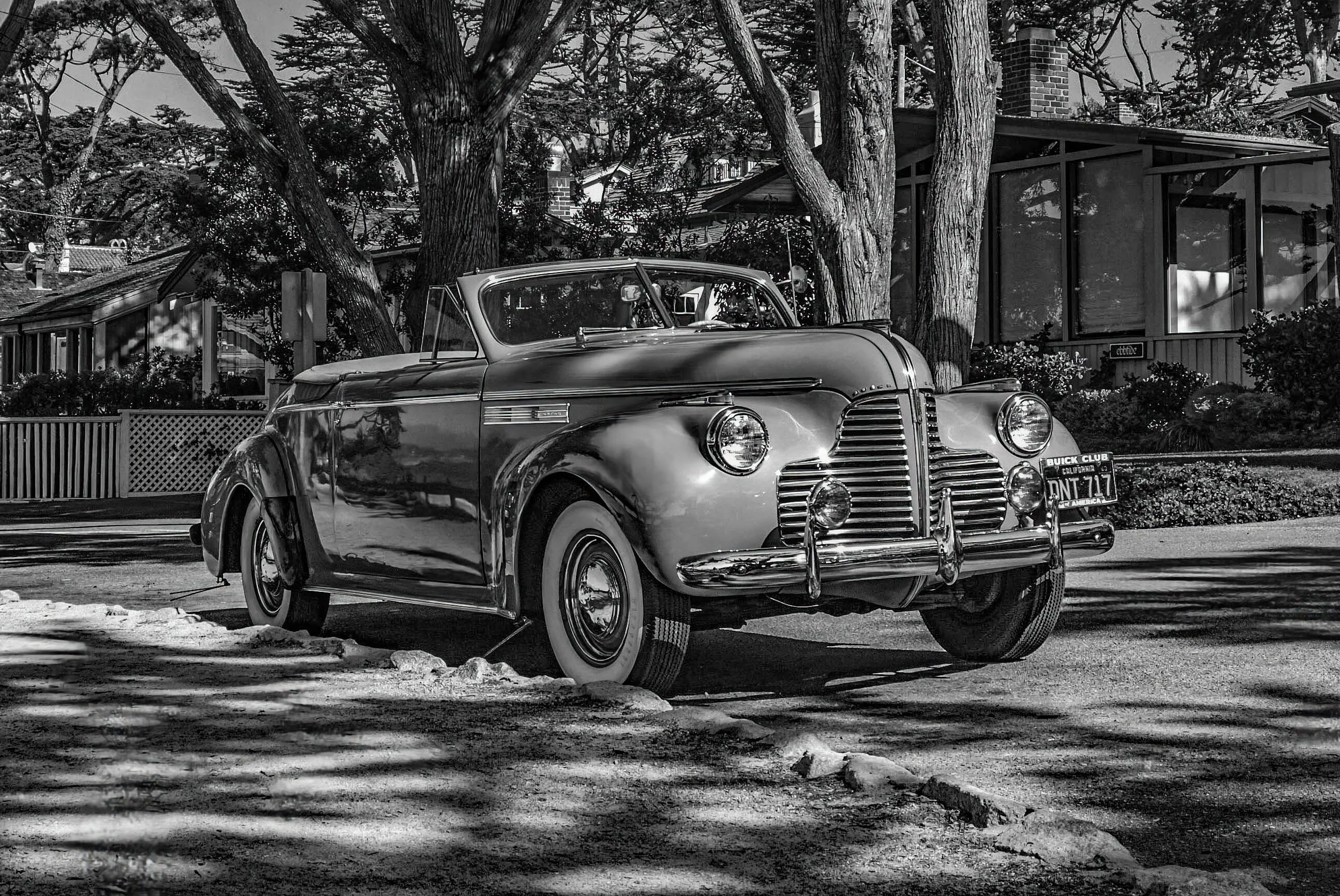 Pebble Beach, CA (2)a-1.jpg