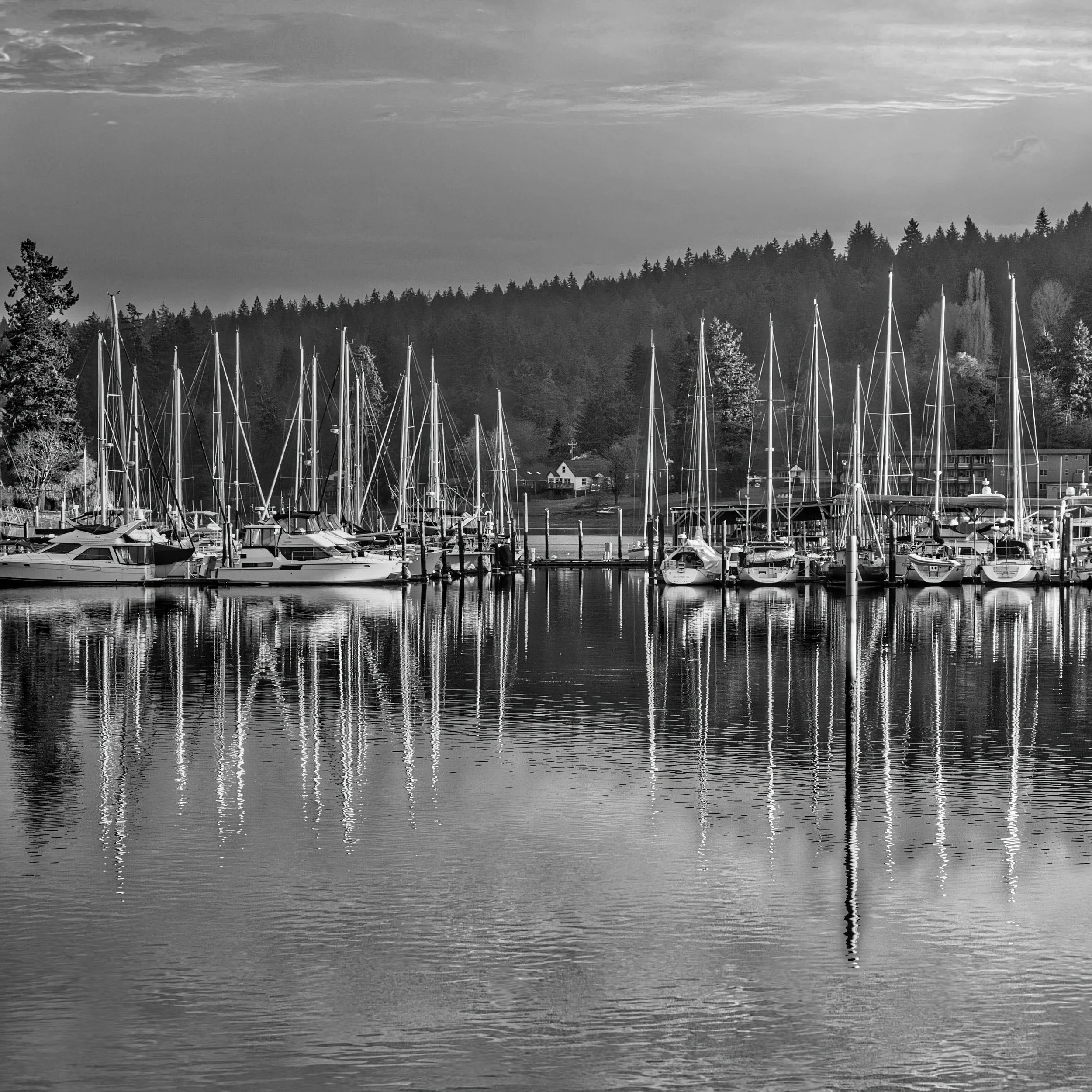 _DFP5005 - Copy3.jpg