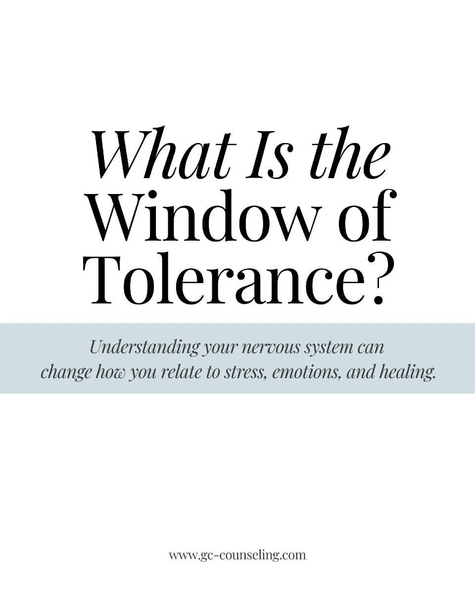 Ever feel like you're either panicked and overstimulated&mdash;or completely shut down and numb? That might mean you're operating outside your Window of Tolerance.

The Window of Tolerance is the zone where your nervous system feels regulated, safe, 
