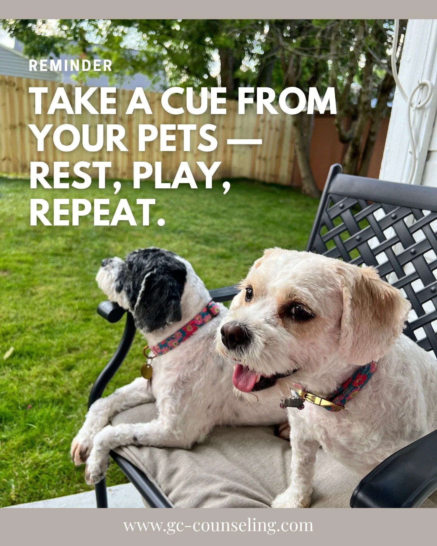 Meet Rosie and Violet &mdash; our owner, Glynn Couch&rsquo;s dogs, and two of our favorite reminders that love doesn&rsquo;t need words. 🐾

Pets have a special way of grounding us in the present. Whether it&rsquo;s a tail wag, a quiet cuddle, or the