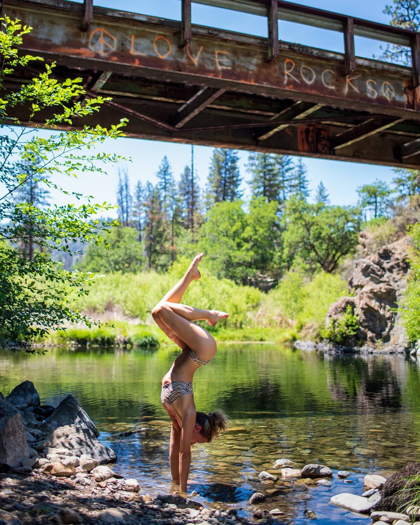 Afternoon dips at the local watering hole. ☀️💦