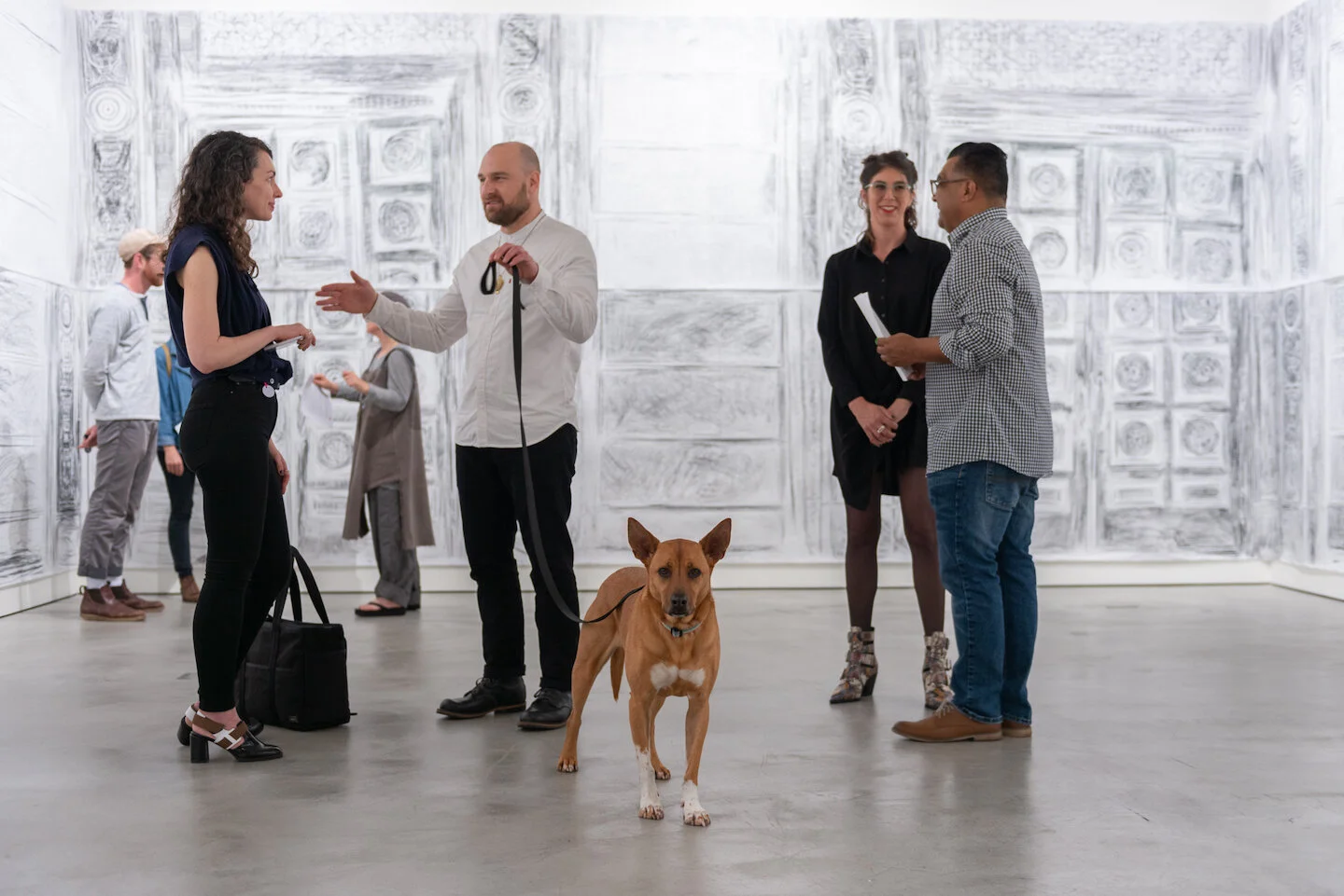 Terms of Use opening, UC Irvine