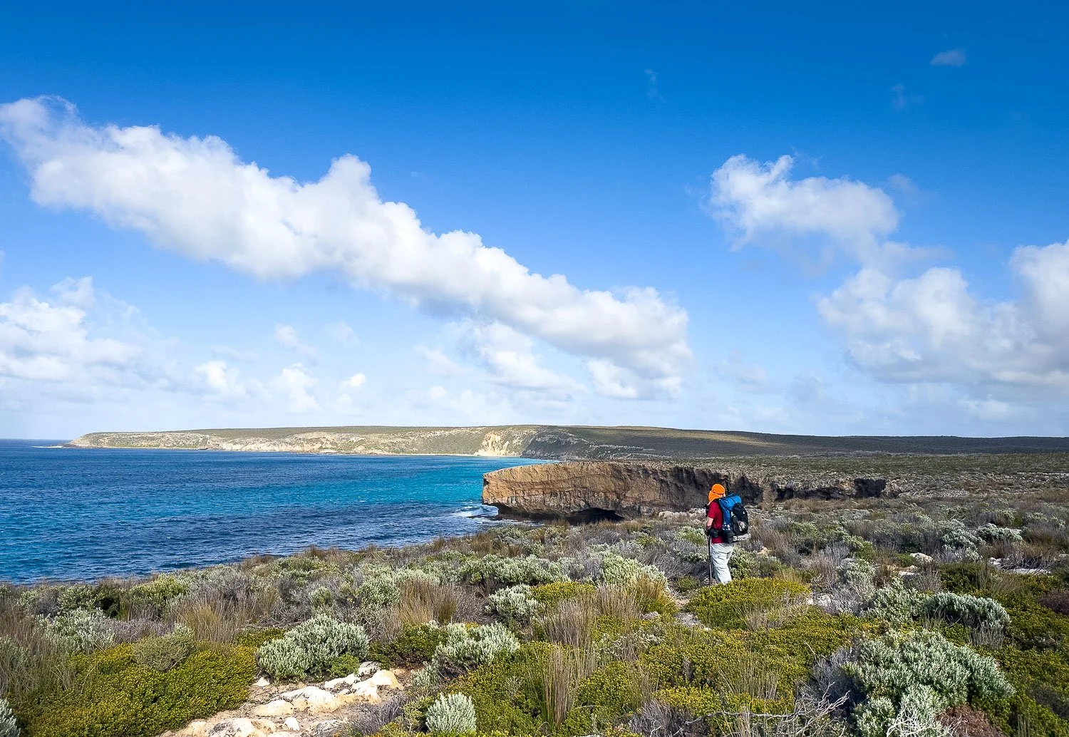 hiker in red shirt near cliff edge with calm ocean below