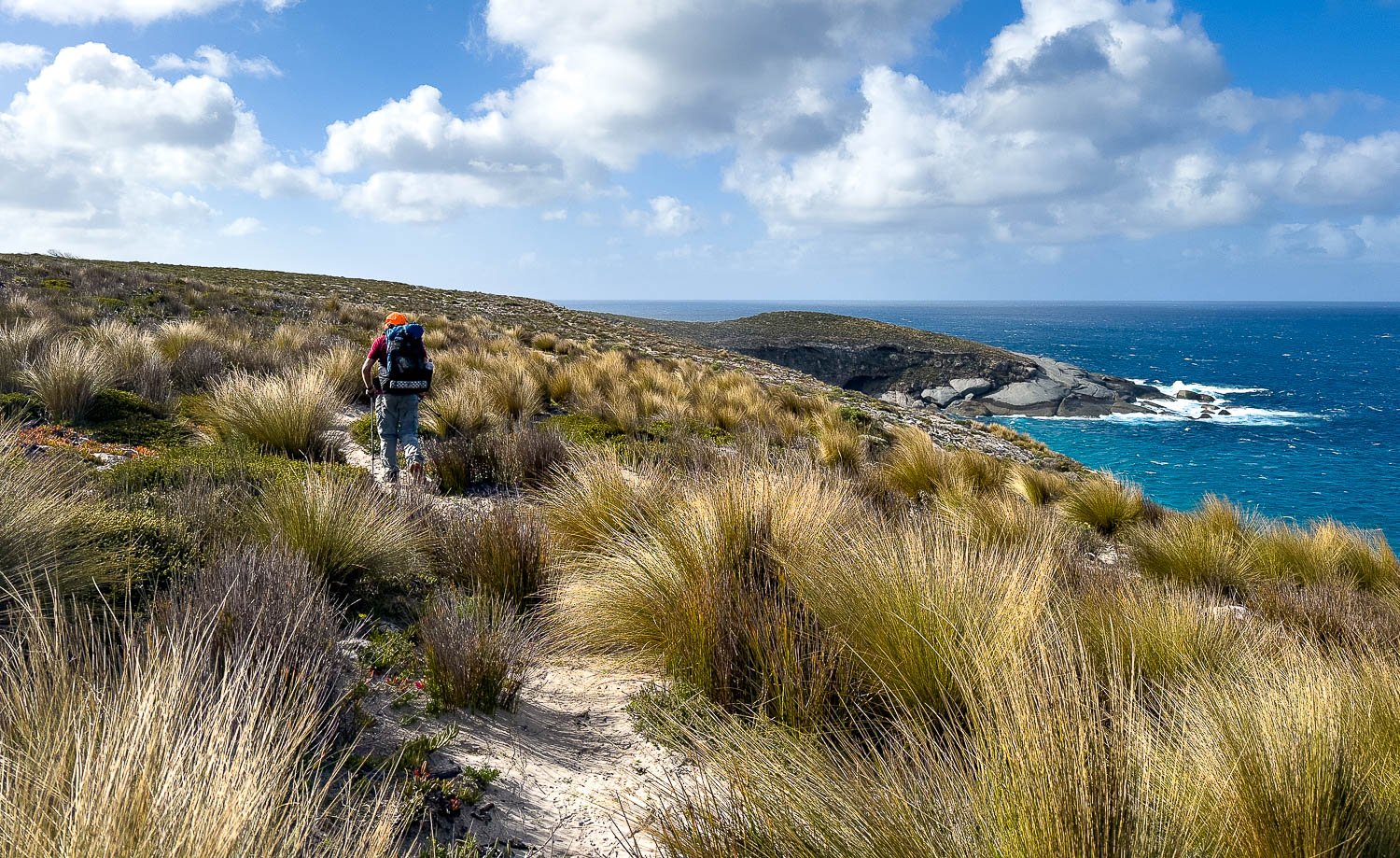 hiker walking along sandy track fringed by weather blown grasses near cliff top