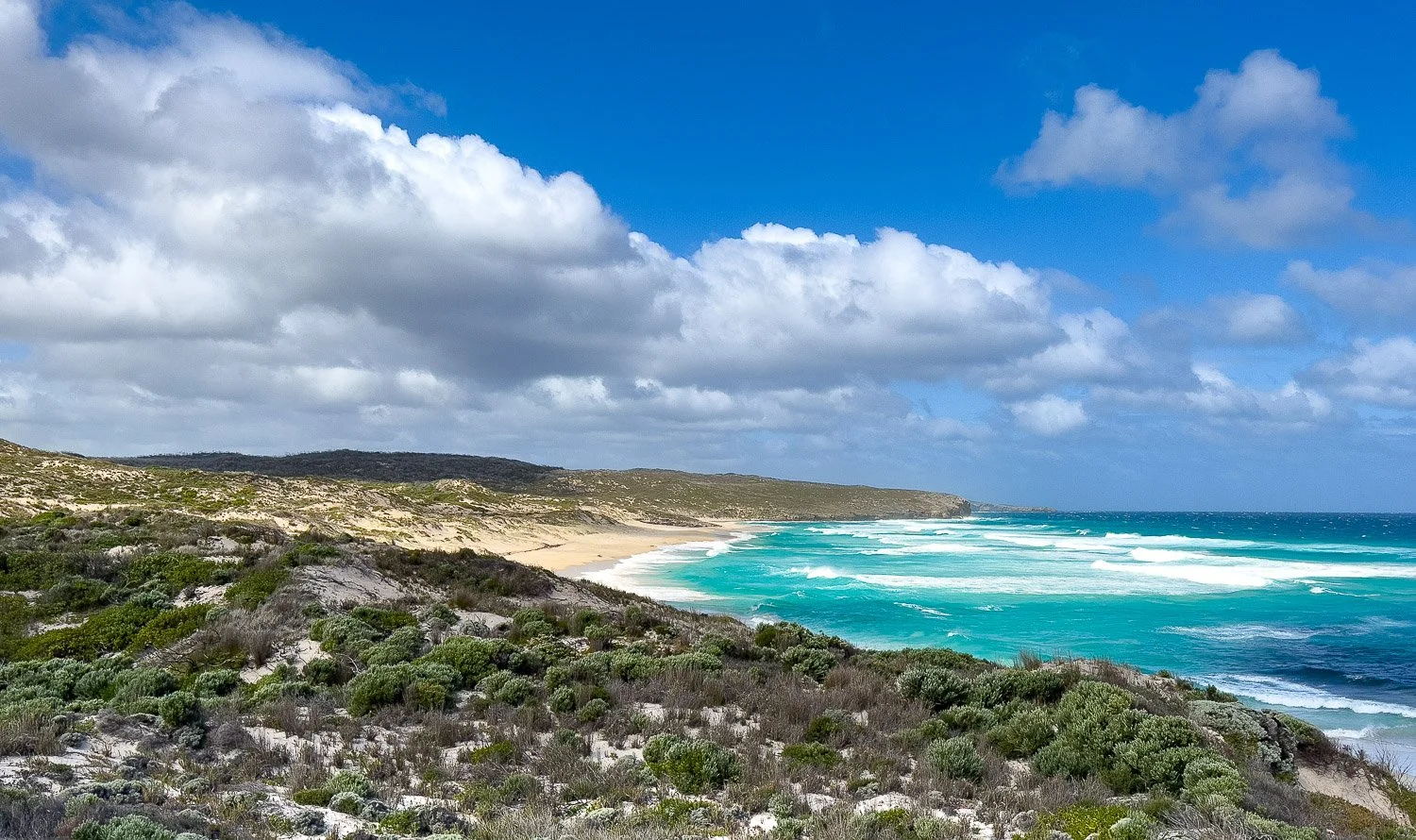 idealic beach and sand dunes with low headland in distance