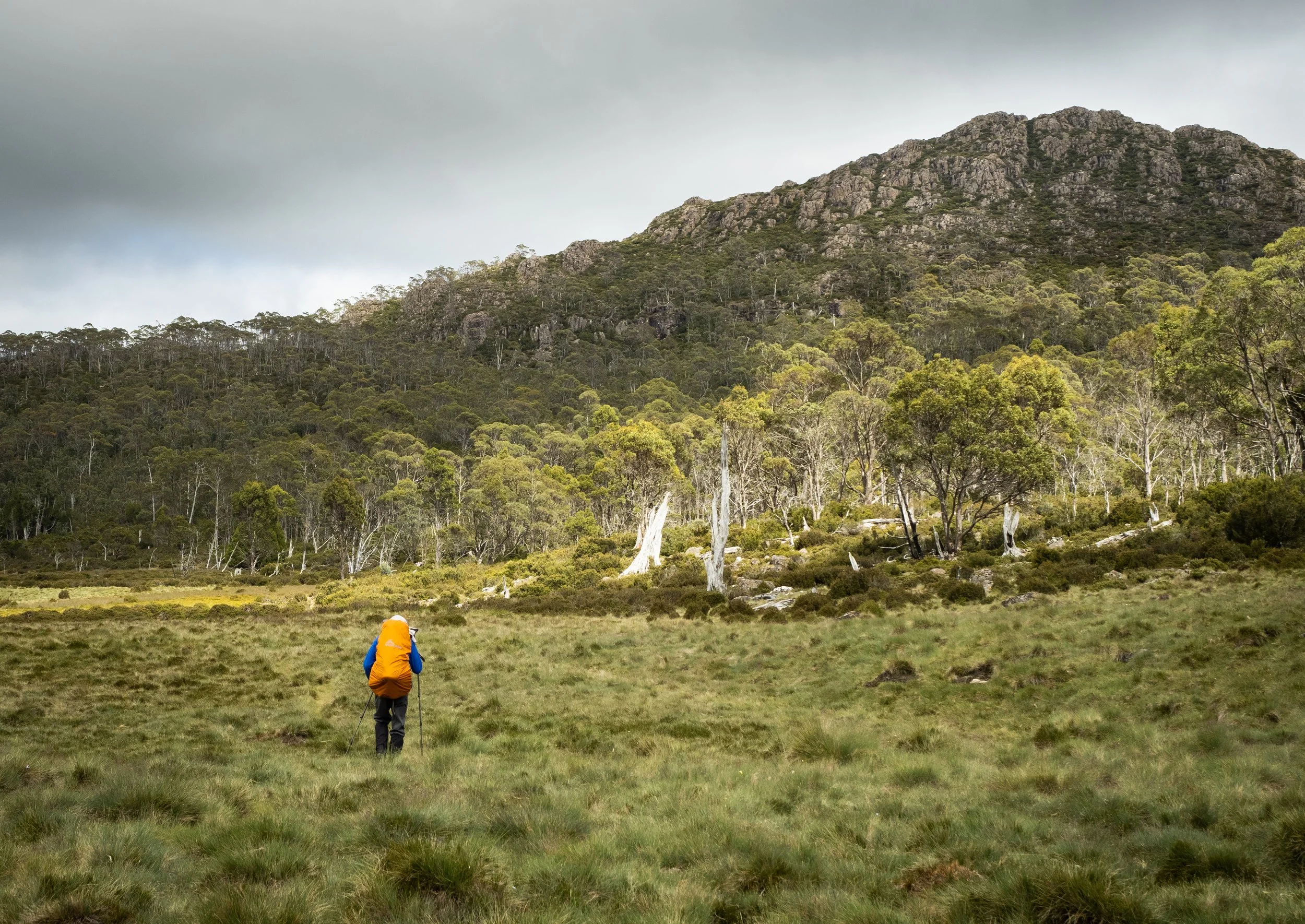 hiker walking across trackless alpine meadow