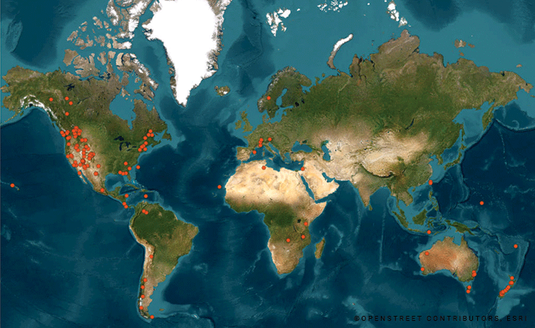 map of globe with red dots indicating the many many rescues conducted in 2025