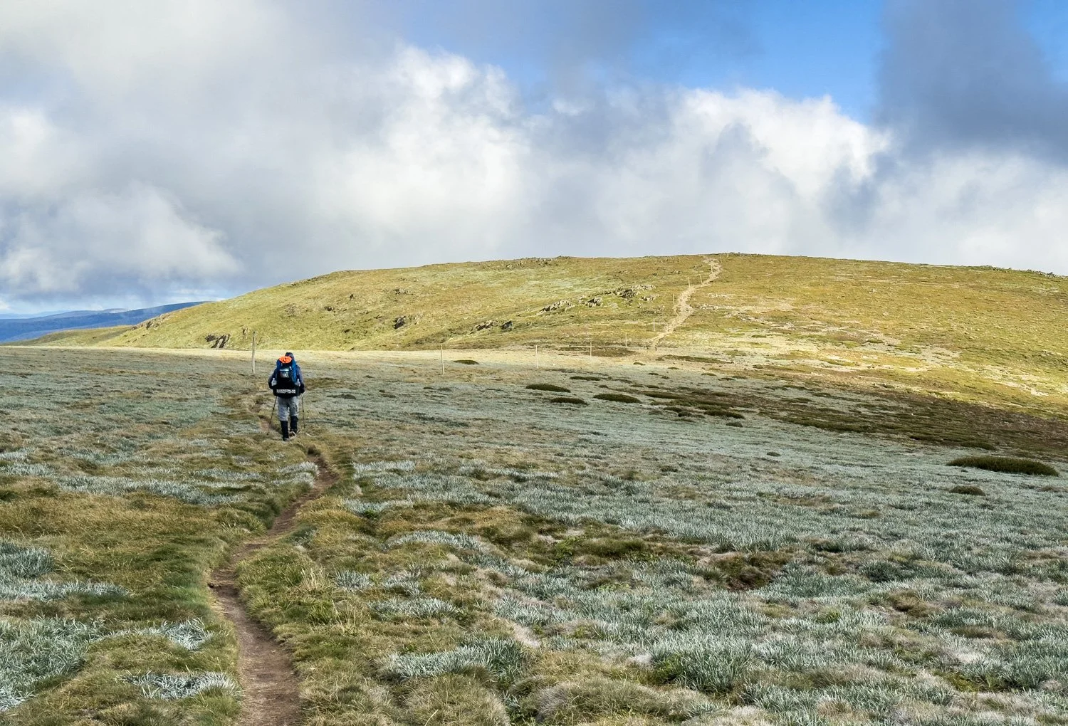 hiker walking across apline meadow