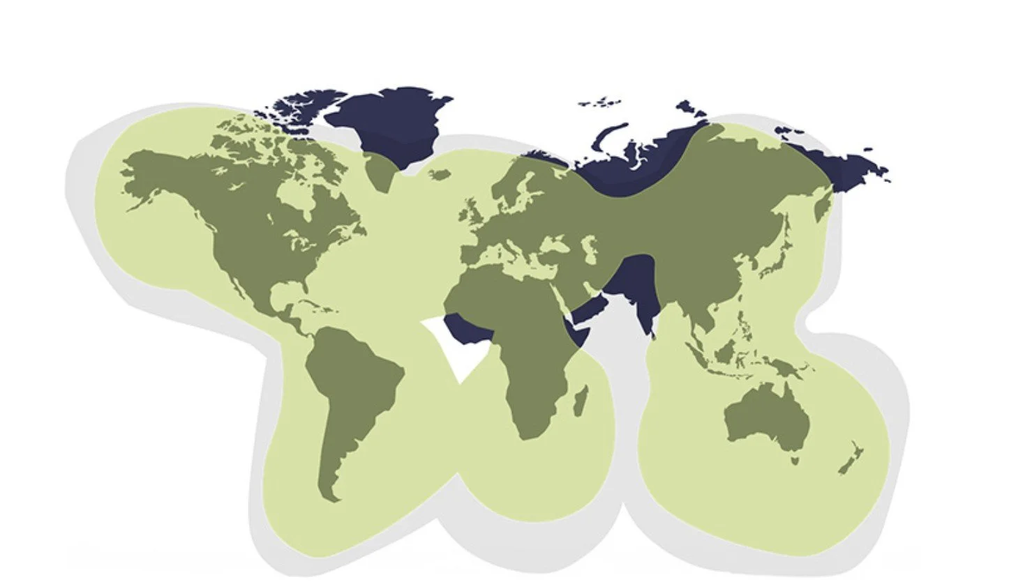 global map of coverage areas