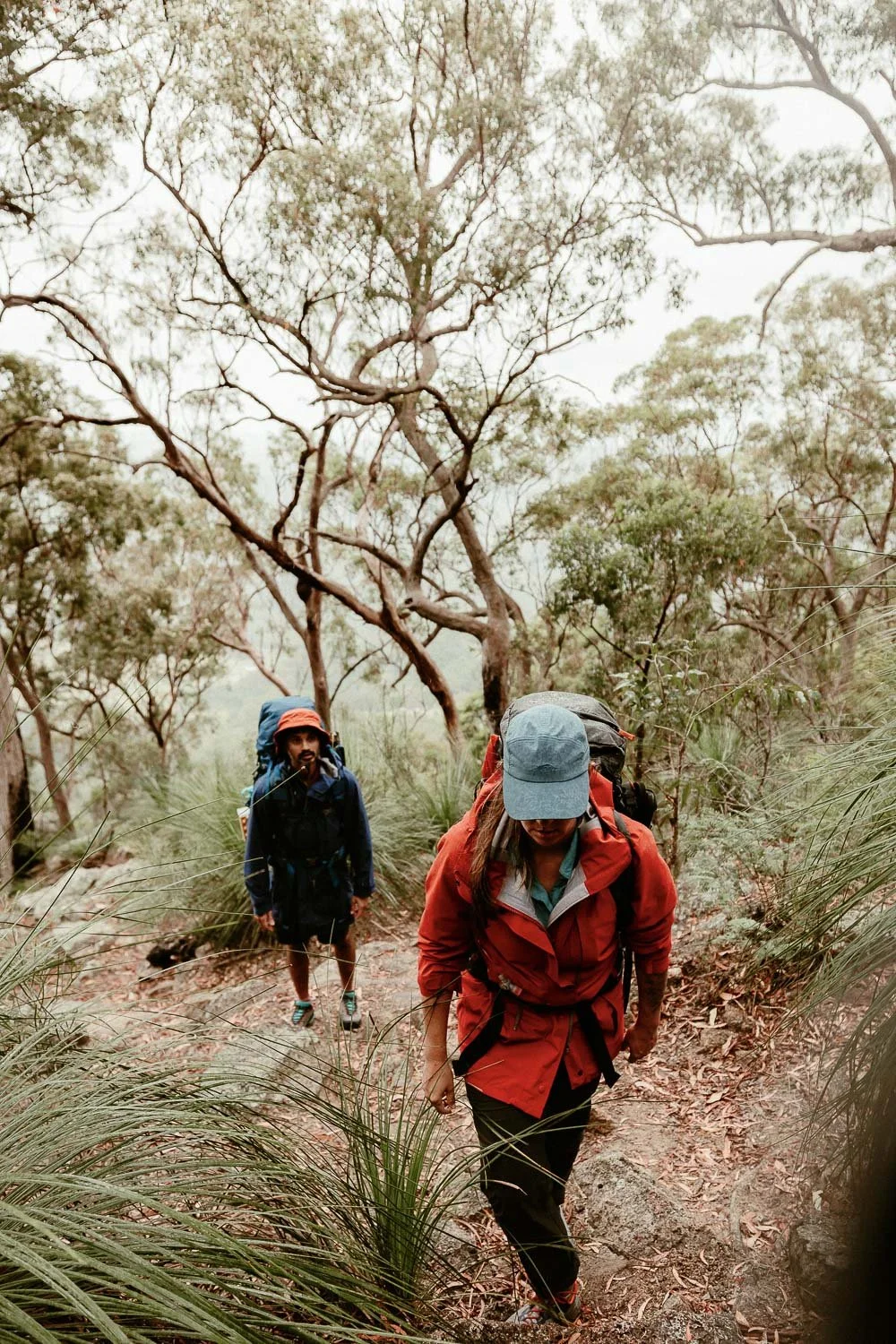 two hikers walking up steep slope in forest