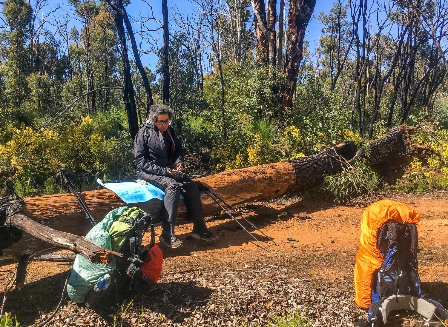 hiker in rain gear sitting on log reading map under blue sky