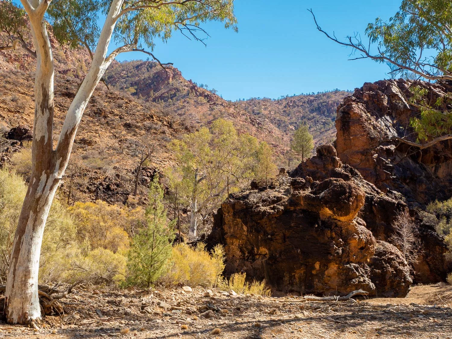 Day 1 - Gammon Ranges: Italowie Gorge — Slower Hiking