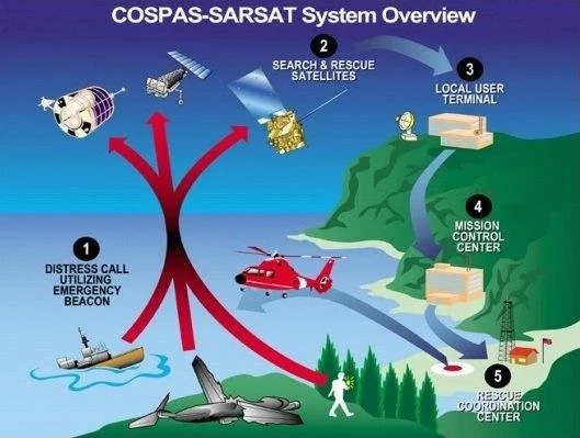 flow diagram of SOS response