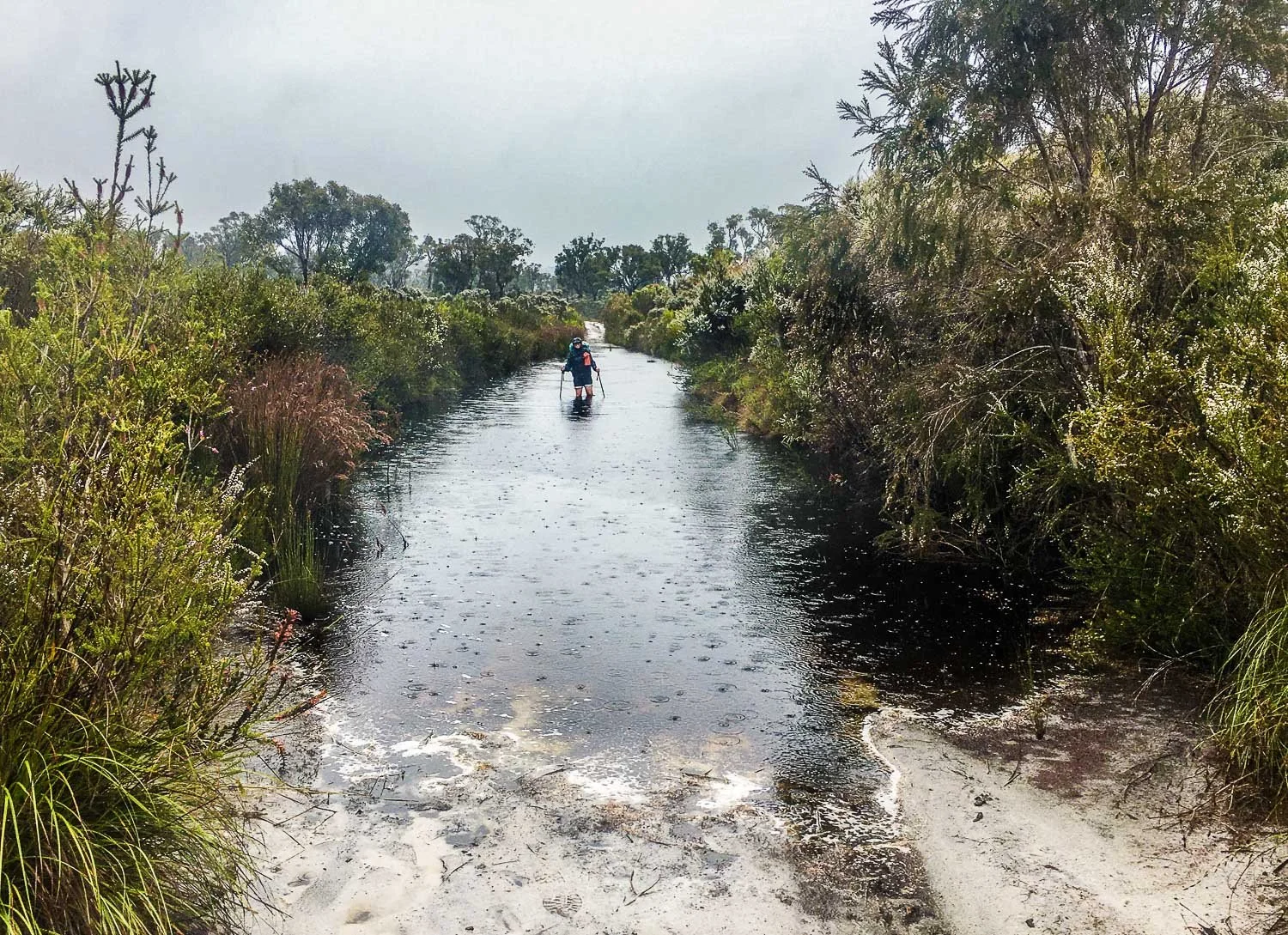 hiker wading through a knee-deep long pool of water over track
