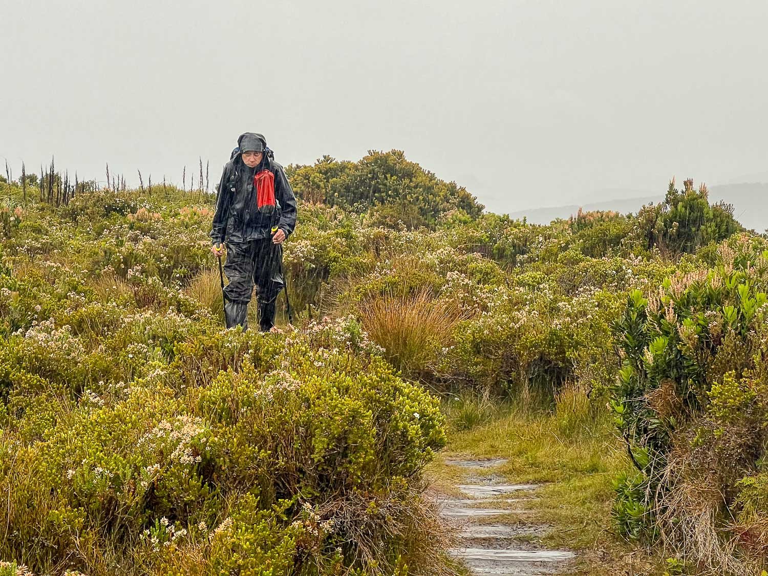 hiker in full rain gear walking through driving rain