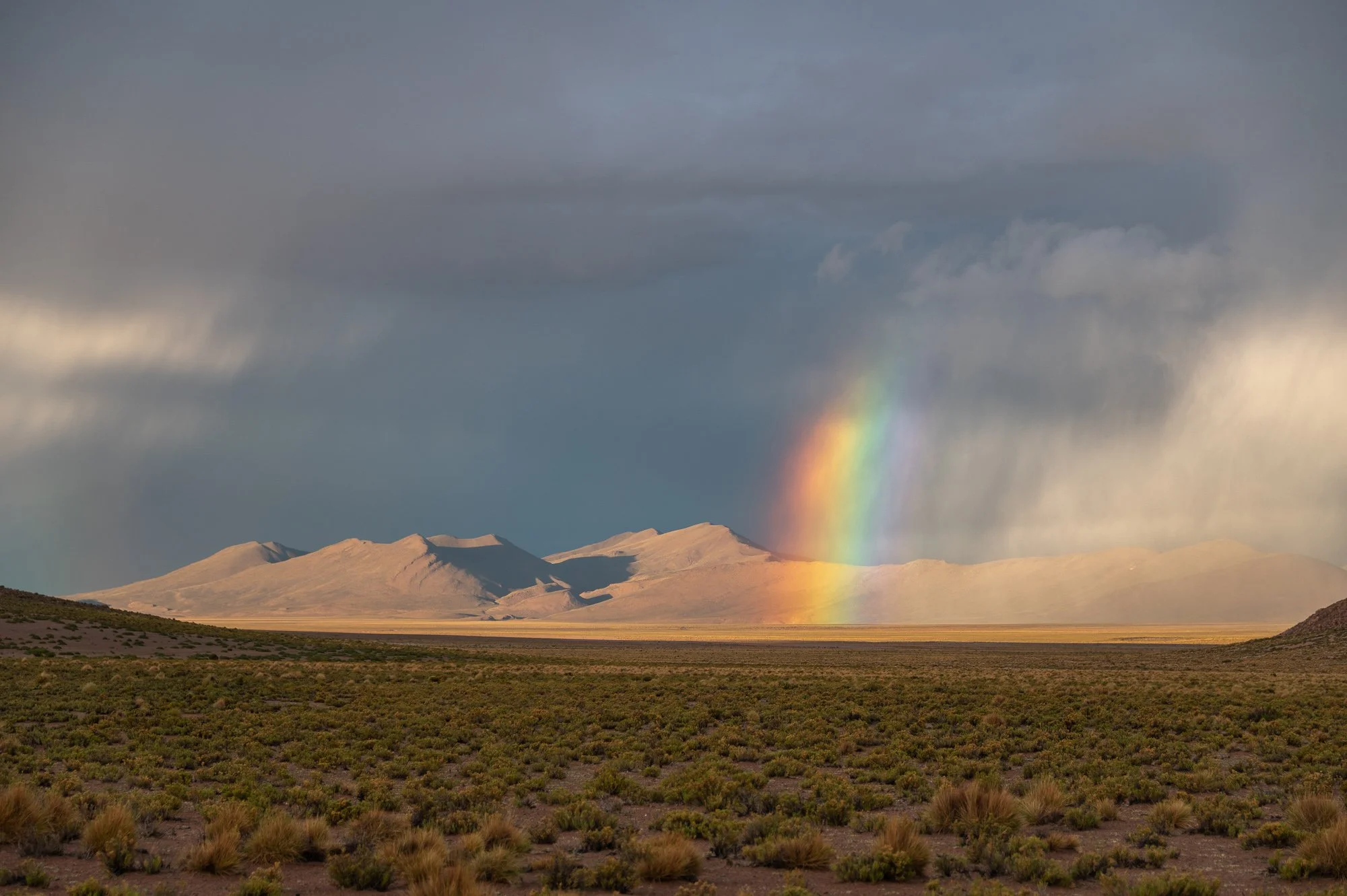 Bolivian Highland Marck Gutt JRNY-5.jpg