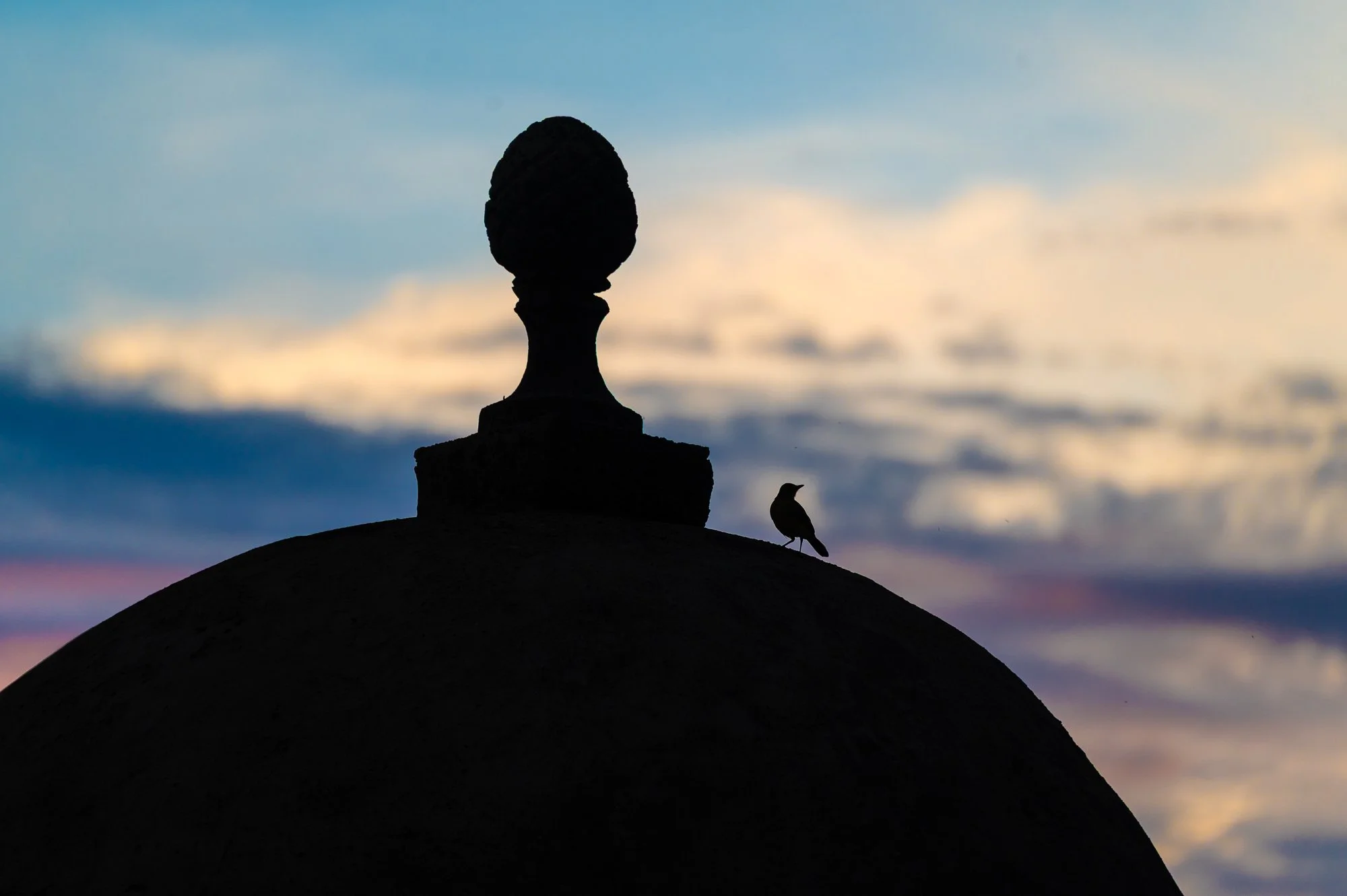 Cartagena Marck Gutt JRNY-6.jpg