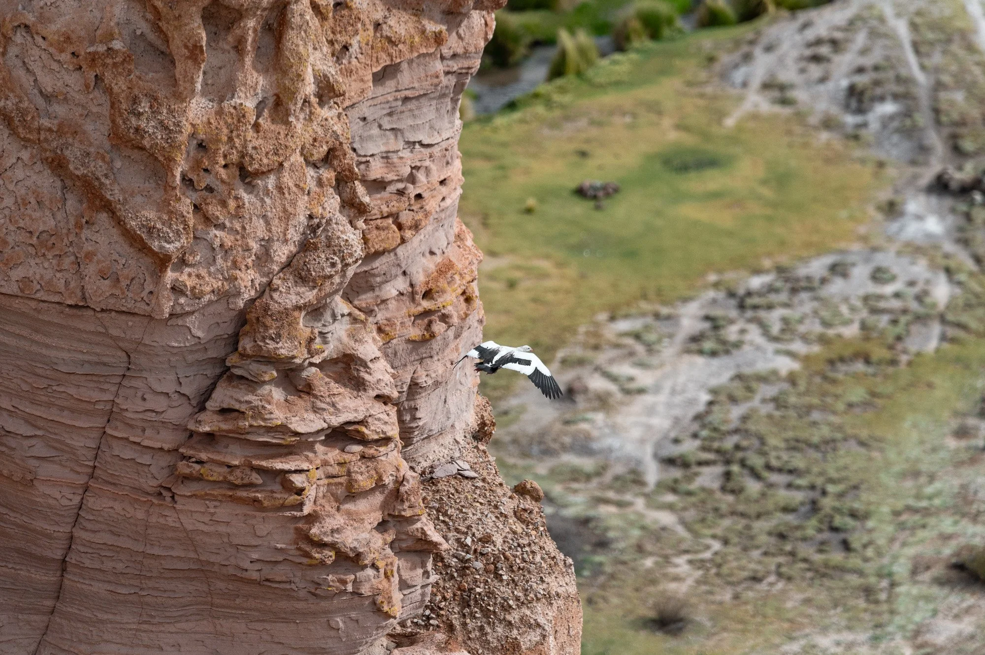Bolivian Highland Marck Gutt JRNY-3.jpg