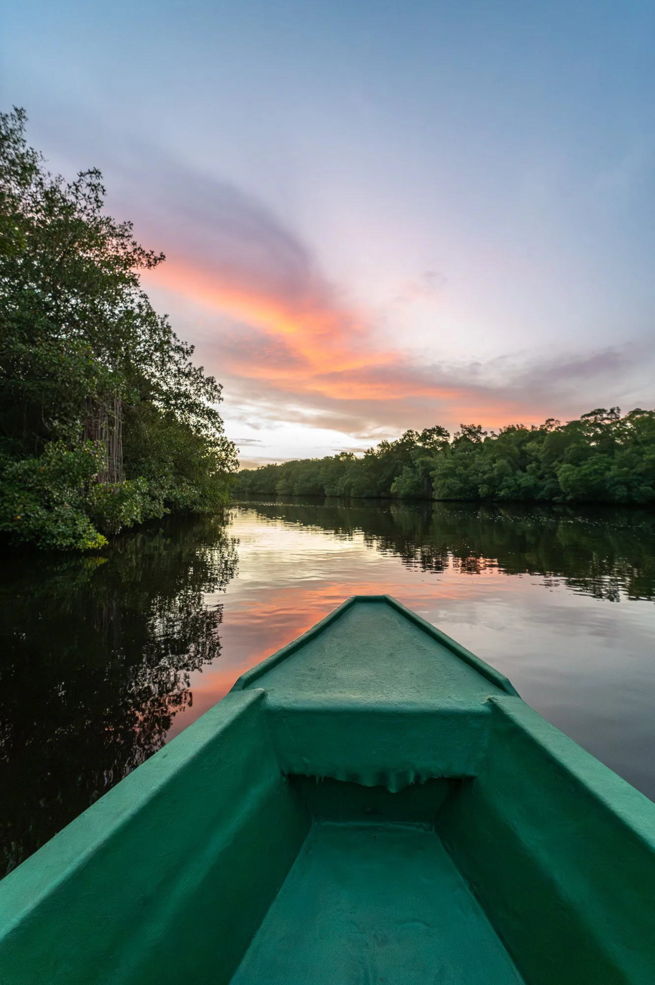 Trinidad Marck Gutt JRNY-4.jpg