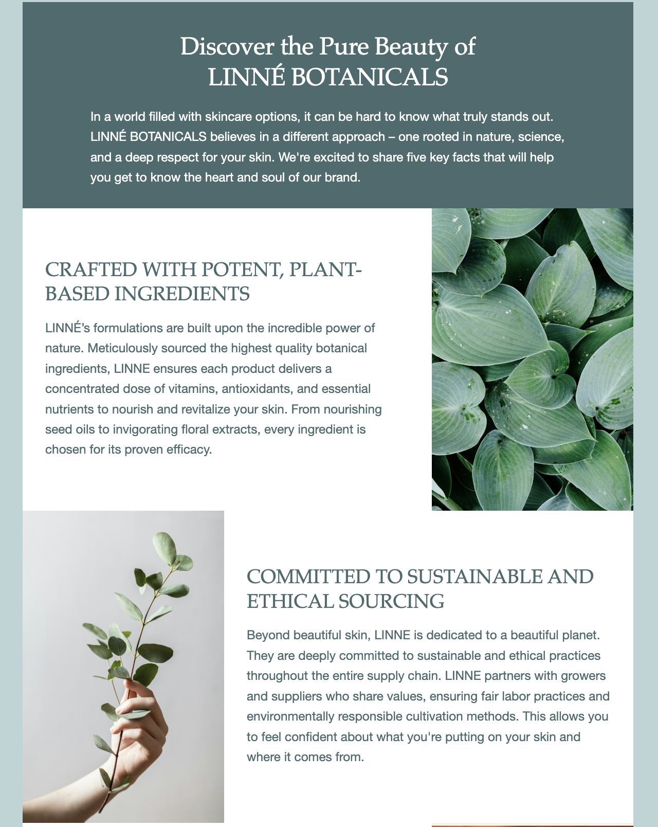 slps-email-marketing-B4.png