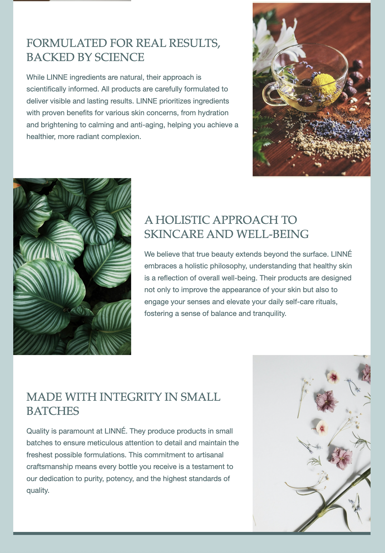 slps-email-marketing-B5.png