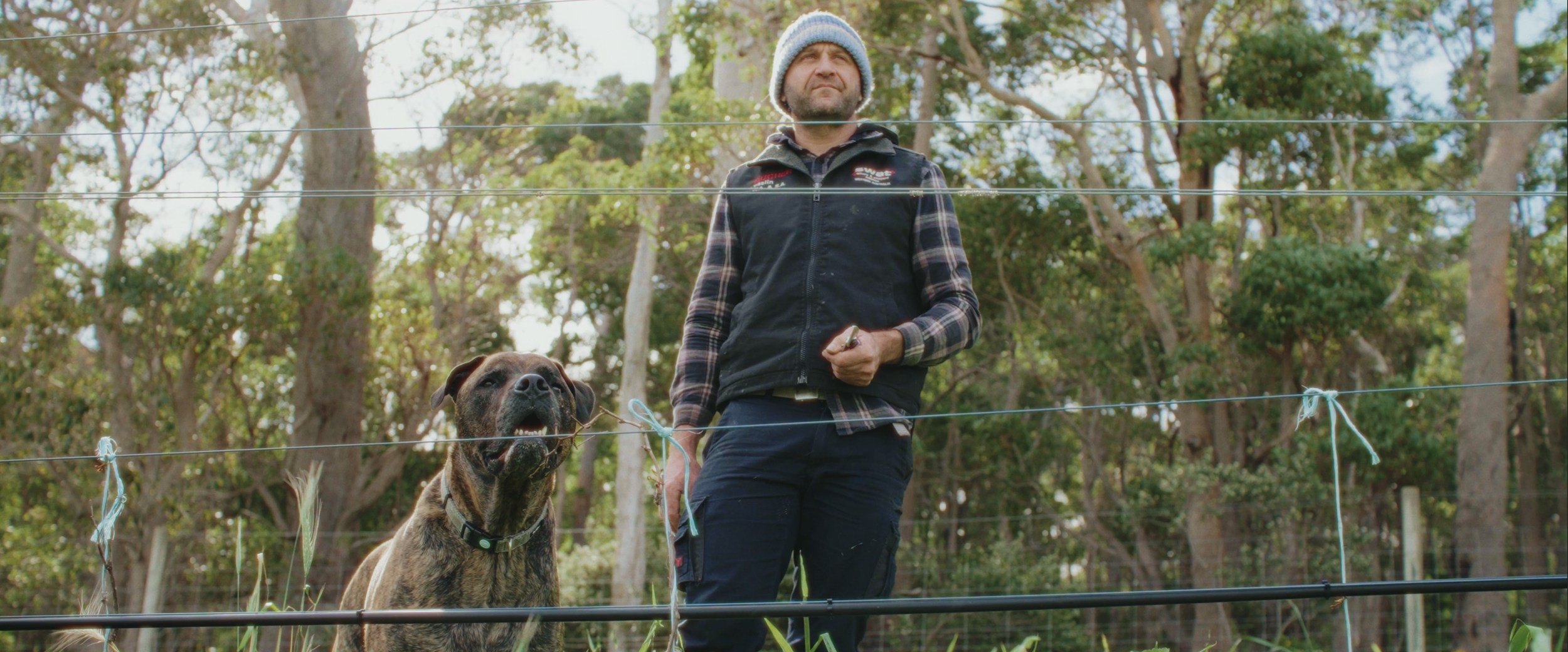 A man wearing a beanie and a vest stands behind a fence with a dog next to him, both looking upward in a wooded outdoor area.