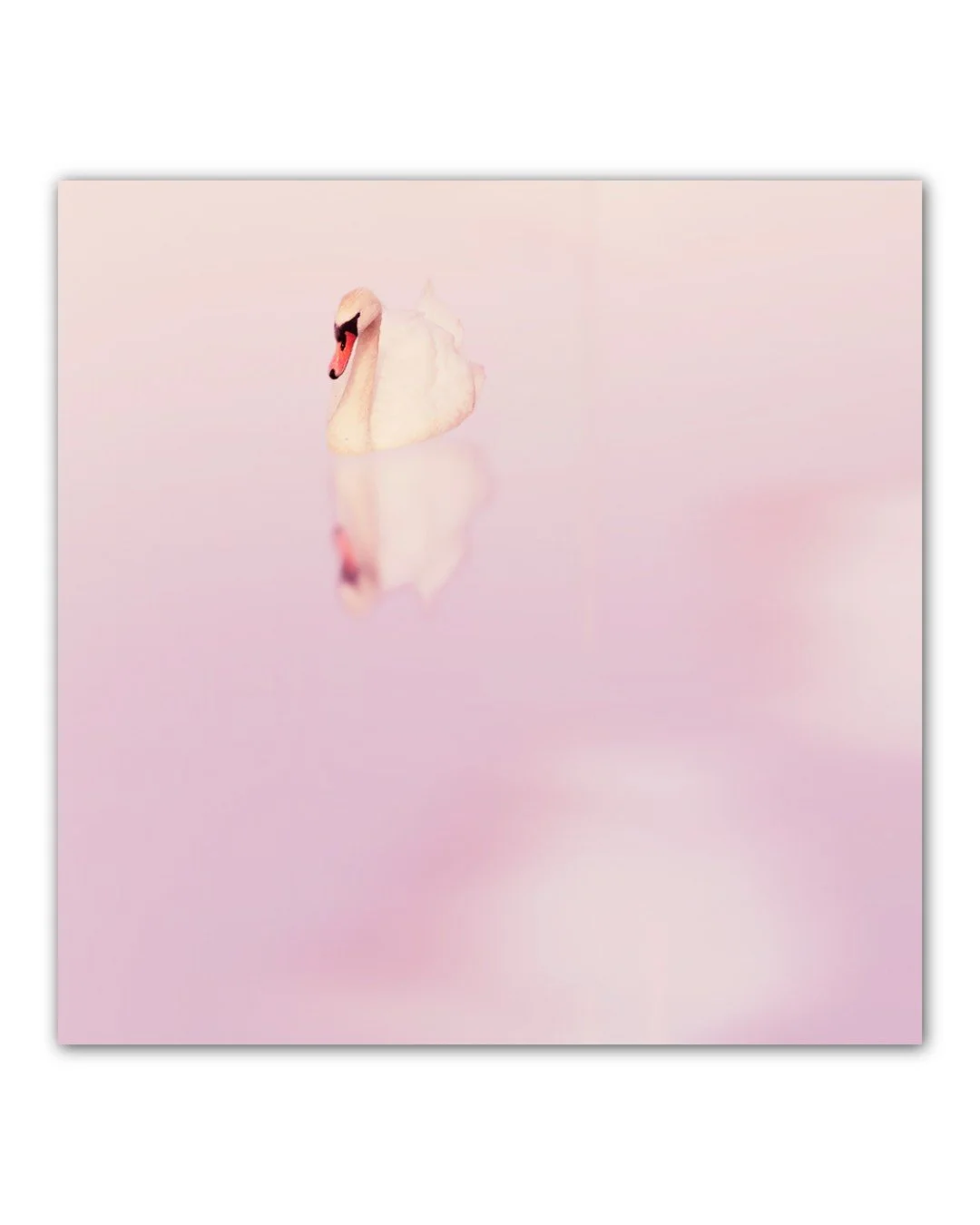 Clarity is a concept I crave, especially around the new year. This year, for some reason, things are feeling a bit clearer in the most effortless way. 

My yearning for clarity seems to have loosened its grip, while what's ahead seems easier even tho