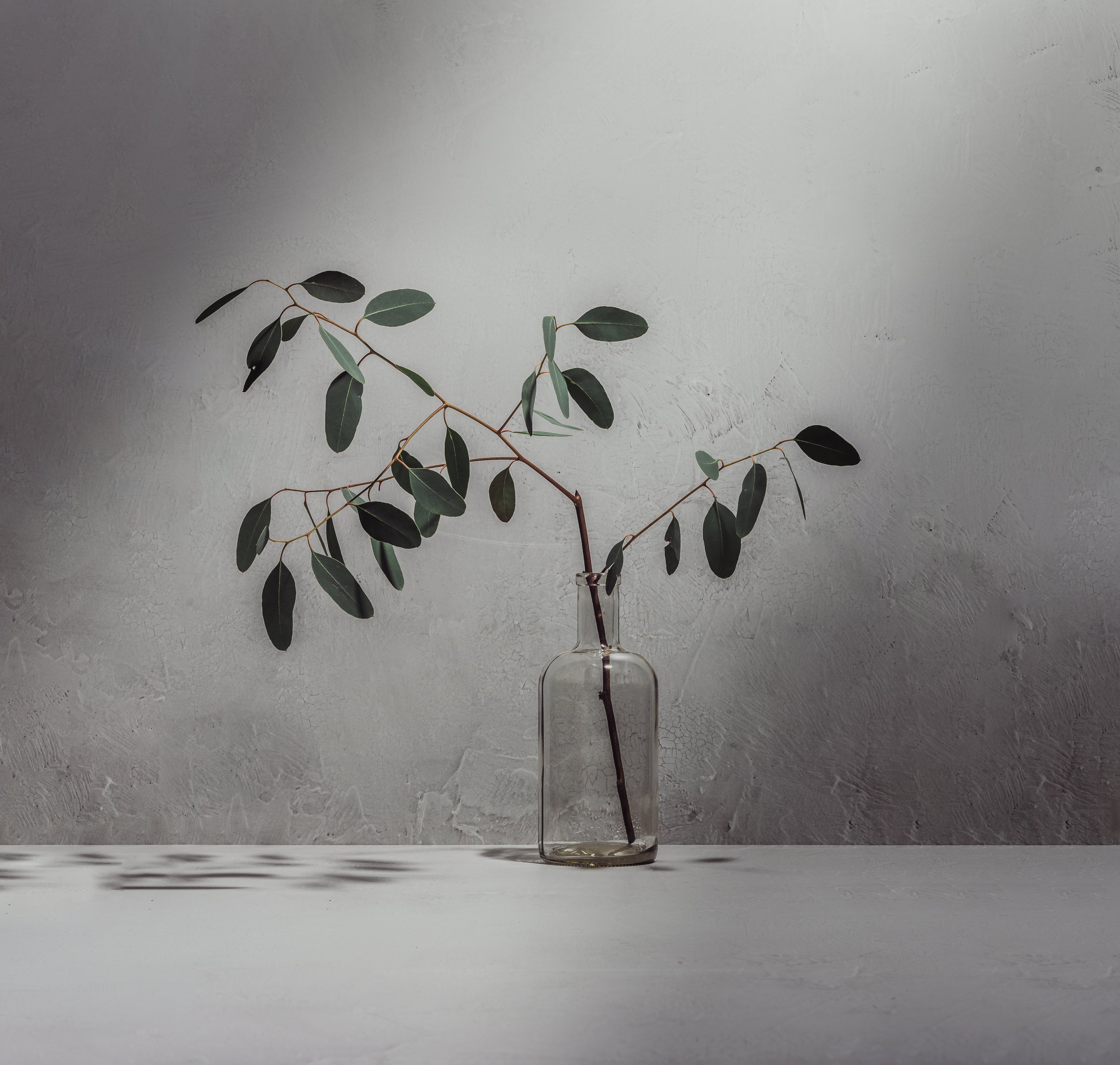 branch_nlphoto-.jpg