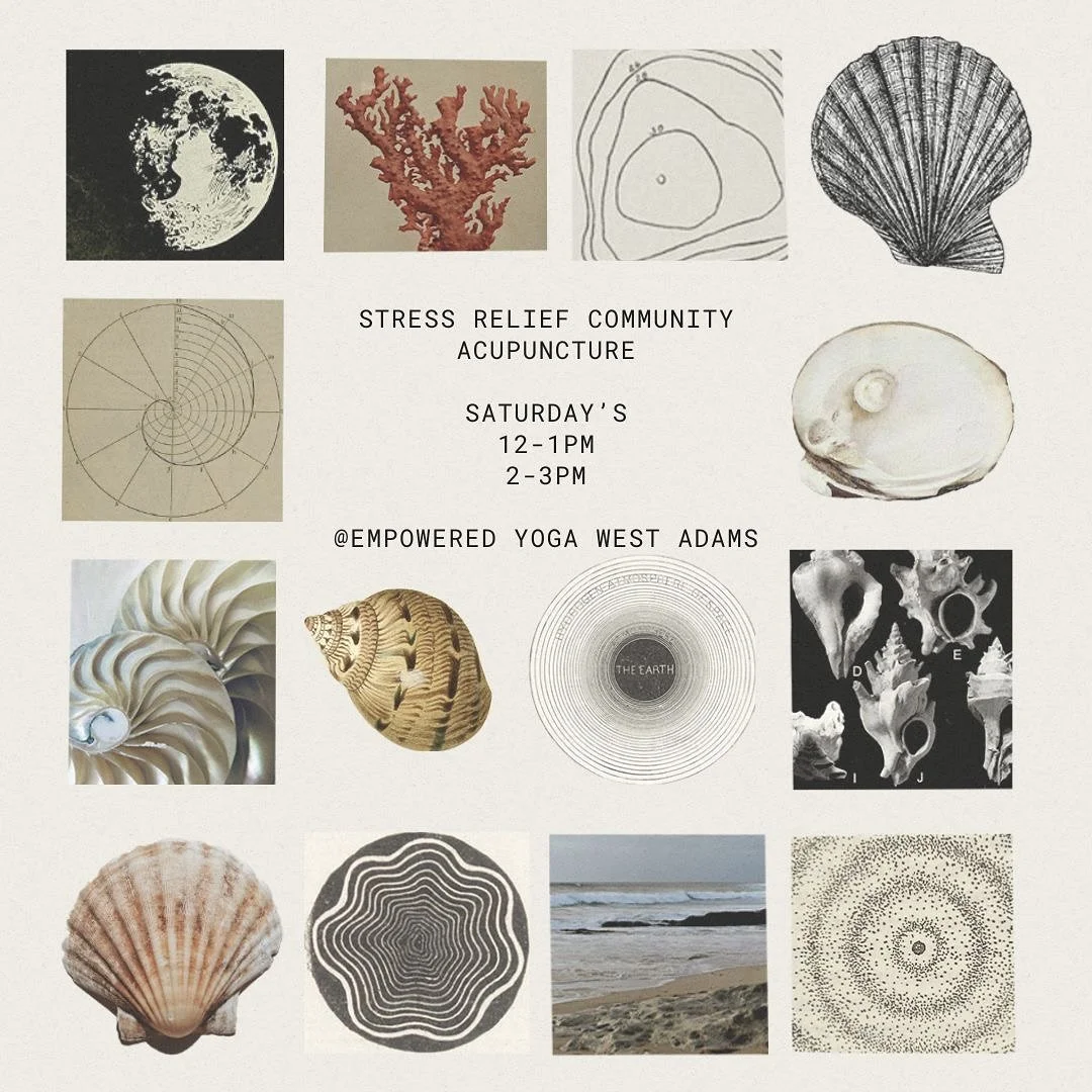 Why community acupuncture? Because more access to safe, relaxing spaces, healing moments in time&hellip;.can shift everything. I&rsquo;m starting my private practice back up on Saturday&rsquo;s - grounded in the idea that healing through Acupuncture 