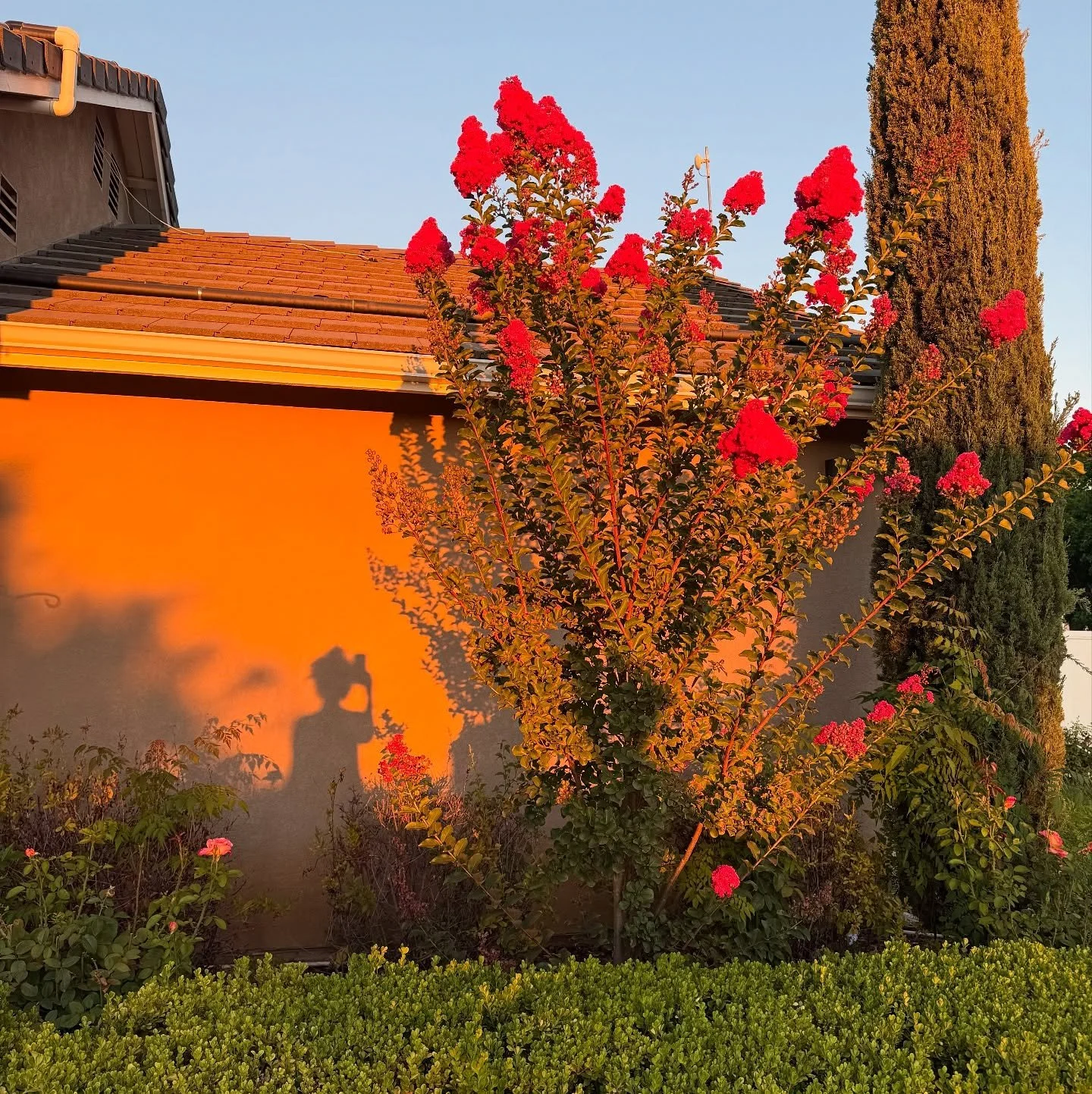 Winter immune systems are strengthened in the summer ✮ ⋆ ˚｡𖦹 ⋆&deg;&deg;✩ Community Acupuncture today 12-1 &amp; 2-3