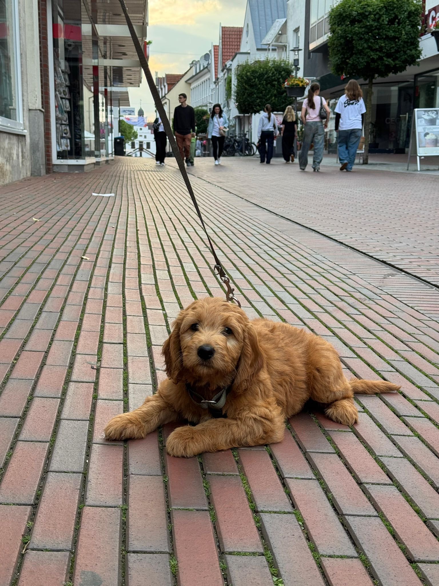 PHOTO-2025-05-30-22-38-20 2.jpg