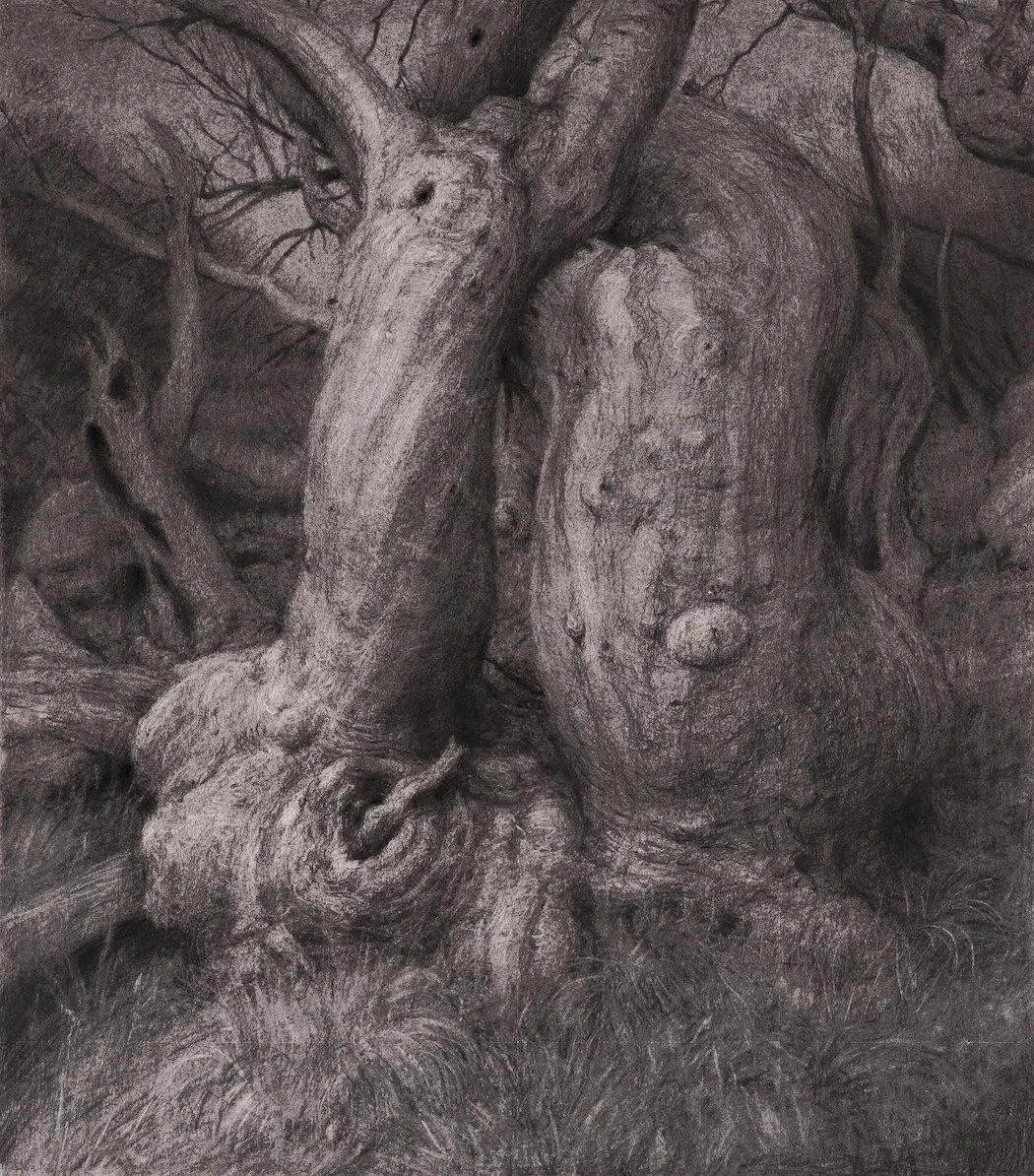 "Ghosts" Charcoal on Stonehenge Paper