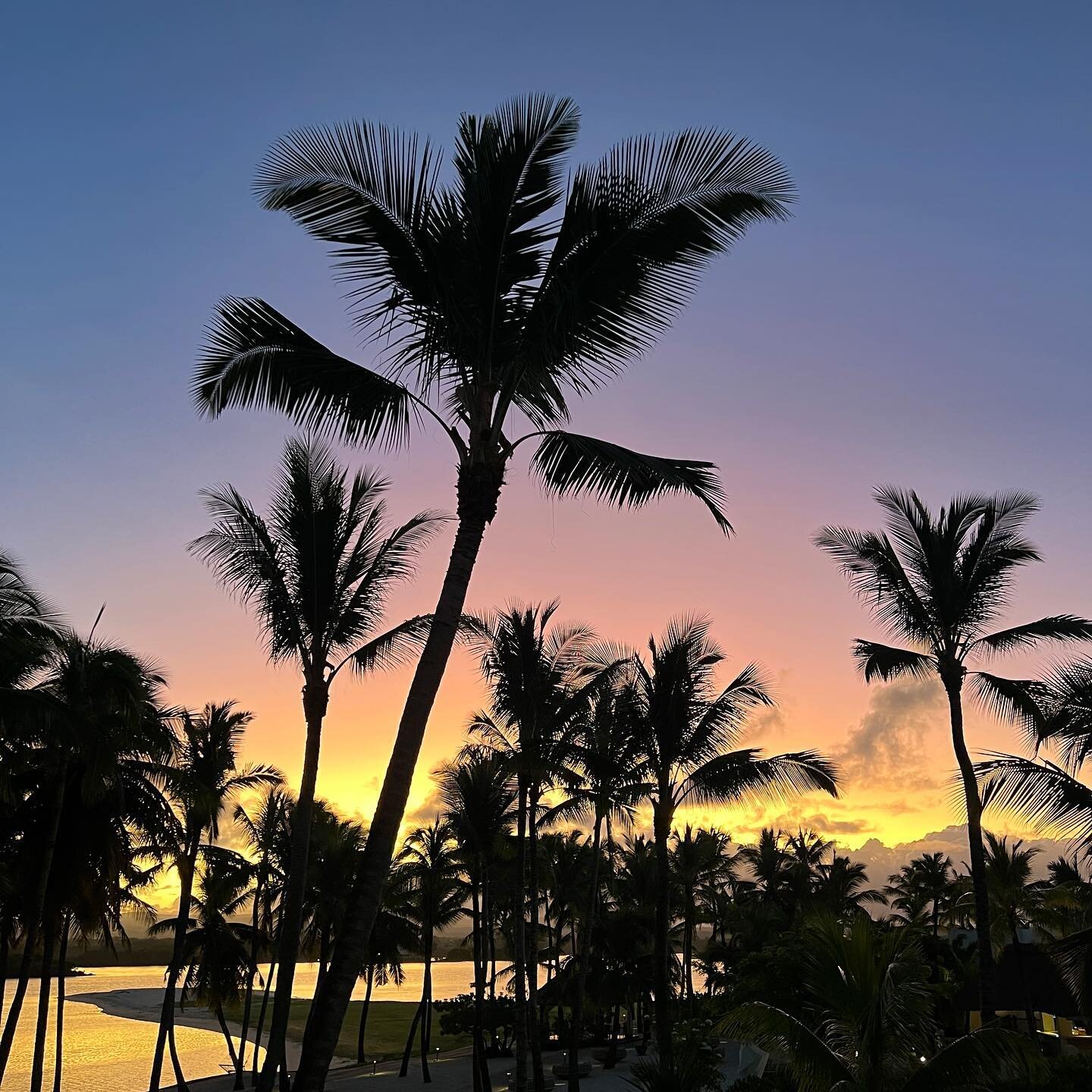 🌅 Mauritius Sunset 
@oolesaintgeran 

#sunset #nature #photography #sky #travel #photooftheday #palmtress #landscape #sunsetphotography #naturephotography #ig #beach #sun #summer #instagood #beautiful #sunrise #sea #clouds #picoftheday #photo #trave