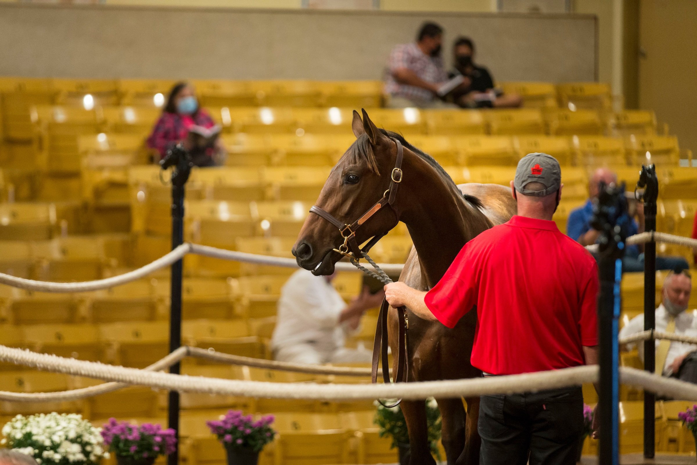 Canadian Thoroughbred Horse Society (Ontario Division)