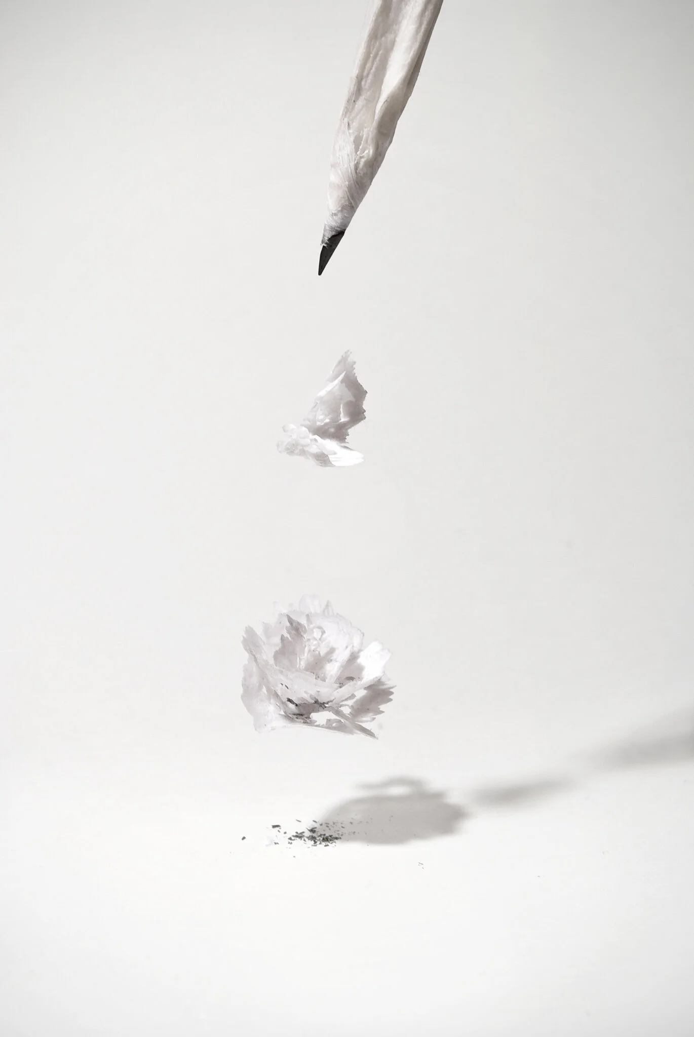 Bloom 削りくずが花になる鉛筆