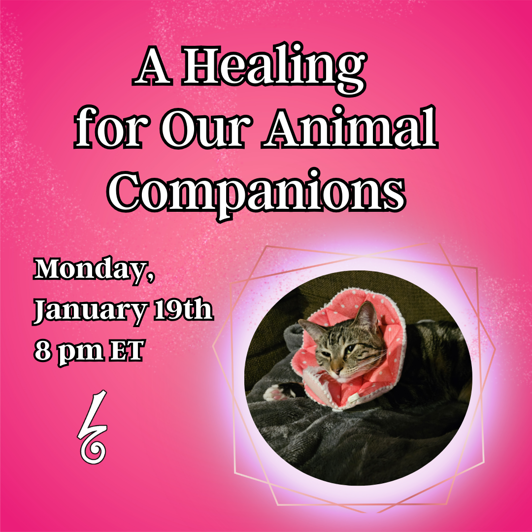 A Healing for Our Animal Companions