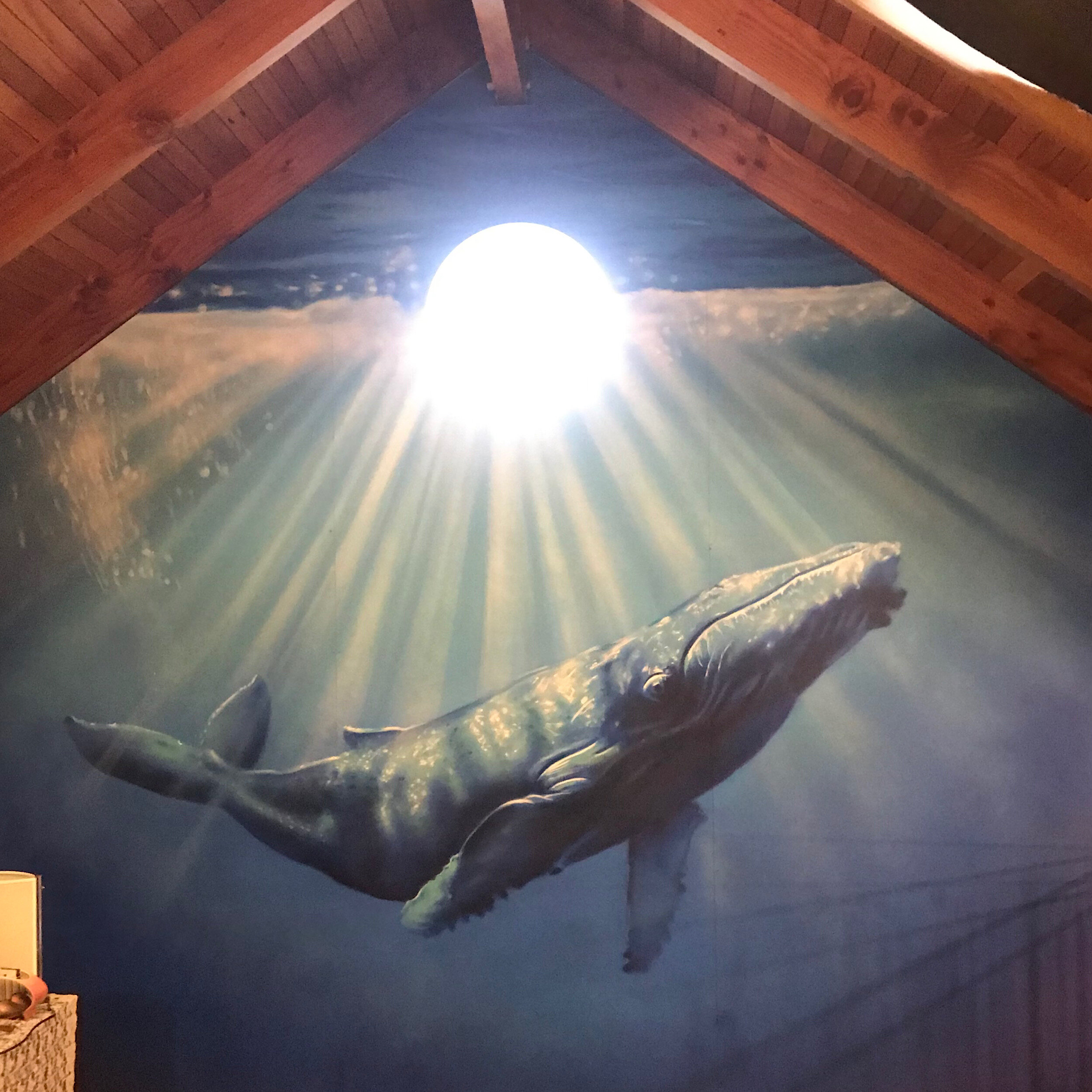 This mural of a hump back whale I created for a film production