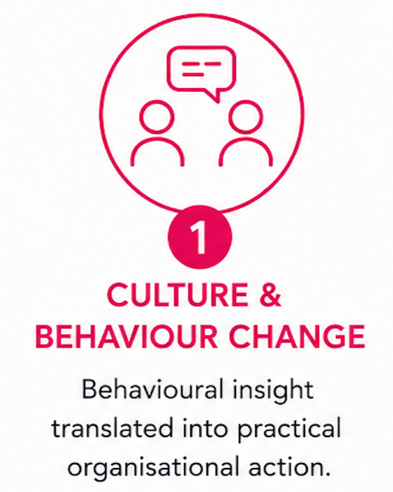 Kath Smythe - Human-centred transformation pillars