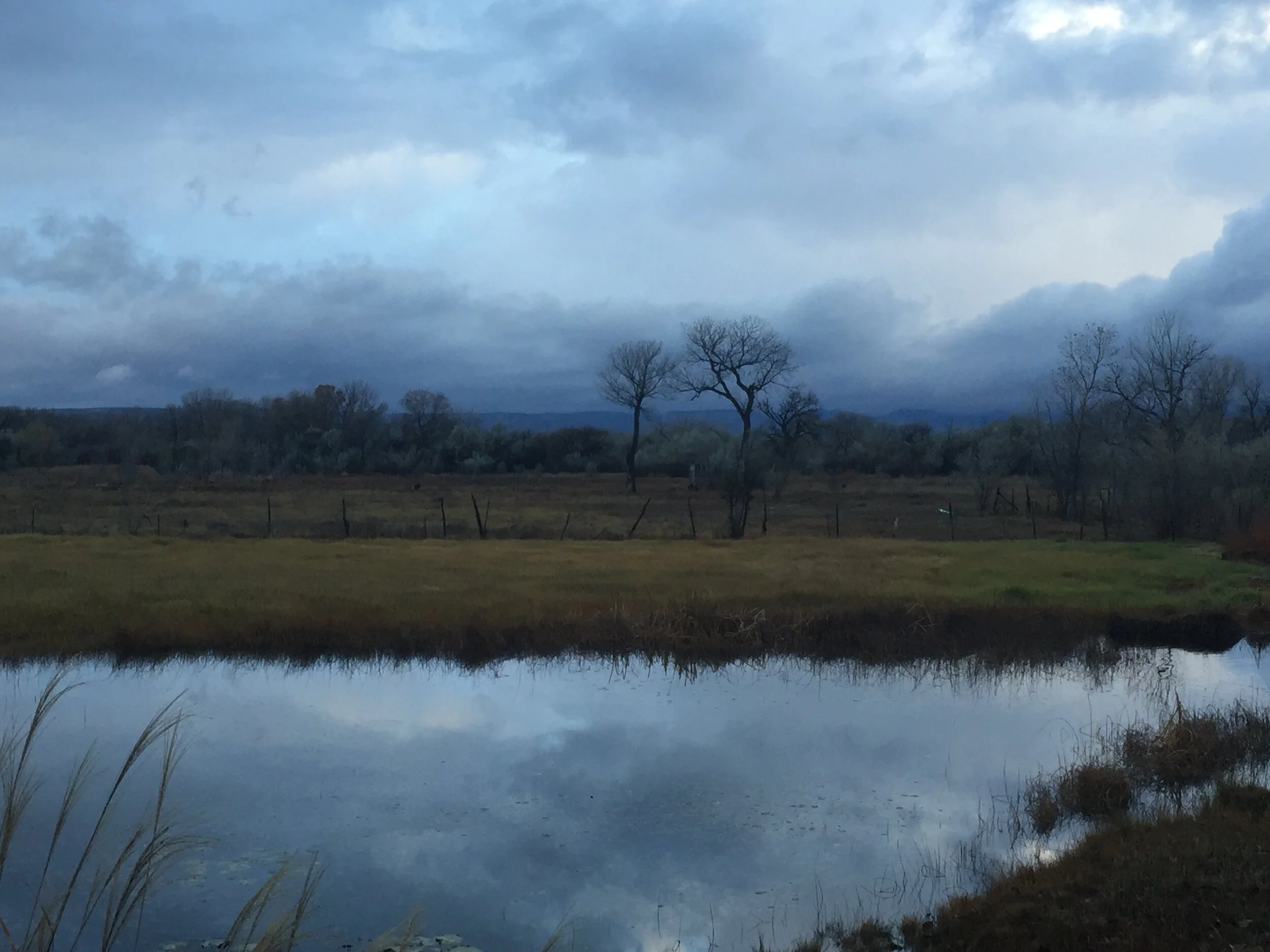 IMG_1940.jpeg