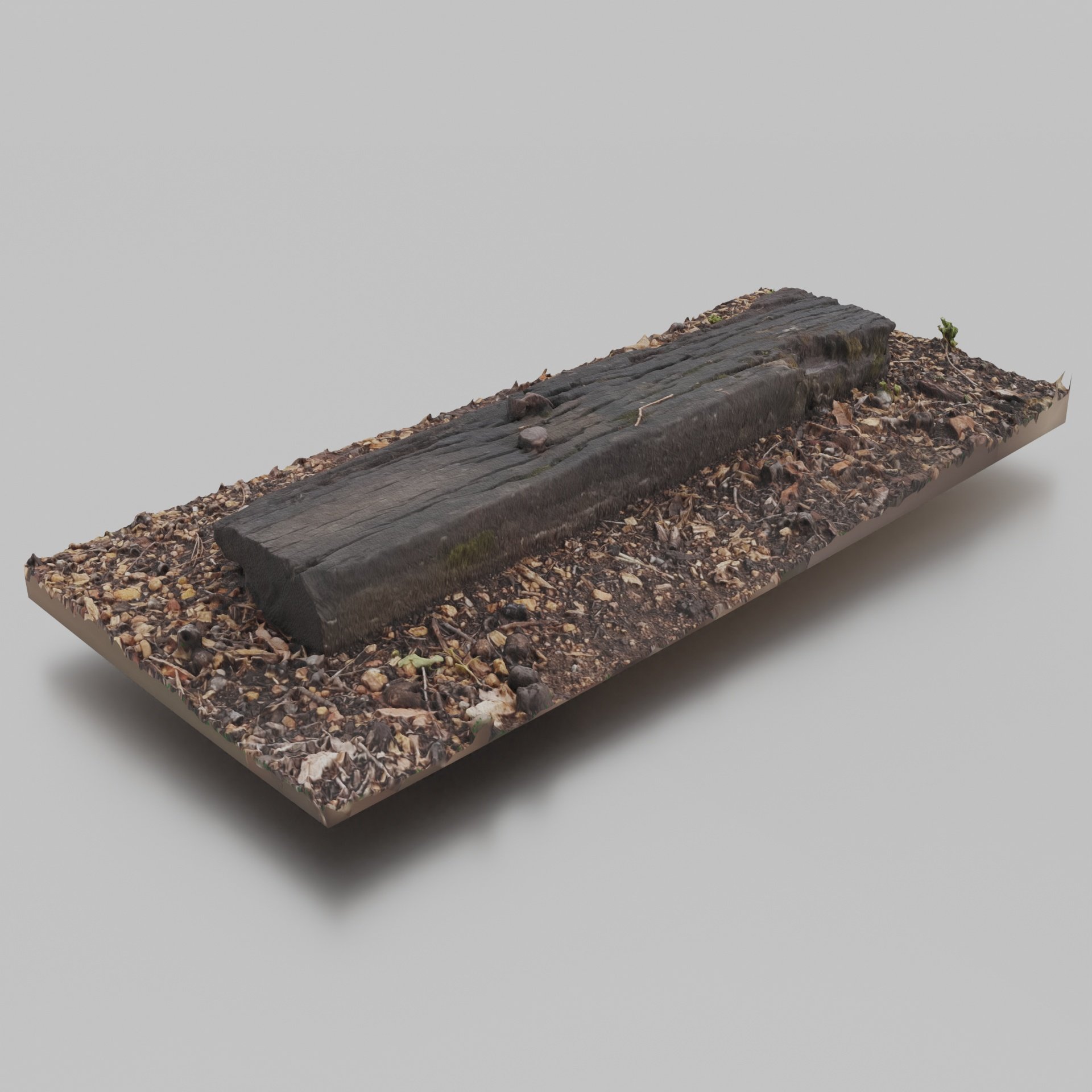 Plank 1.jpg