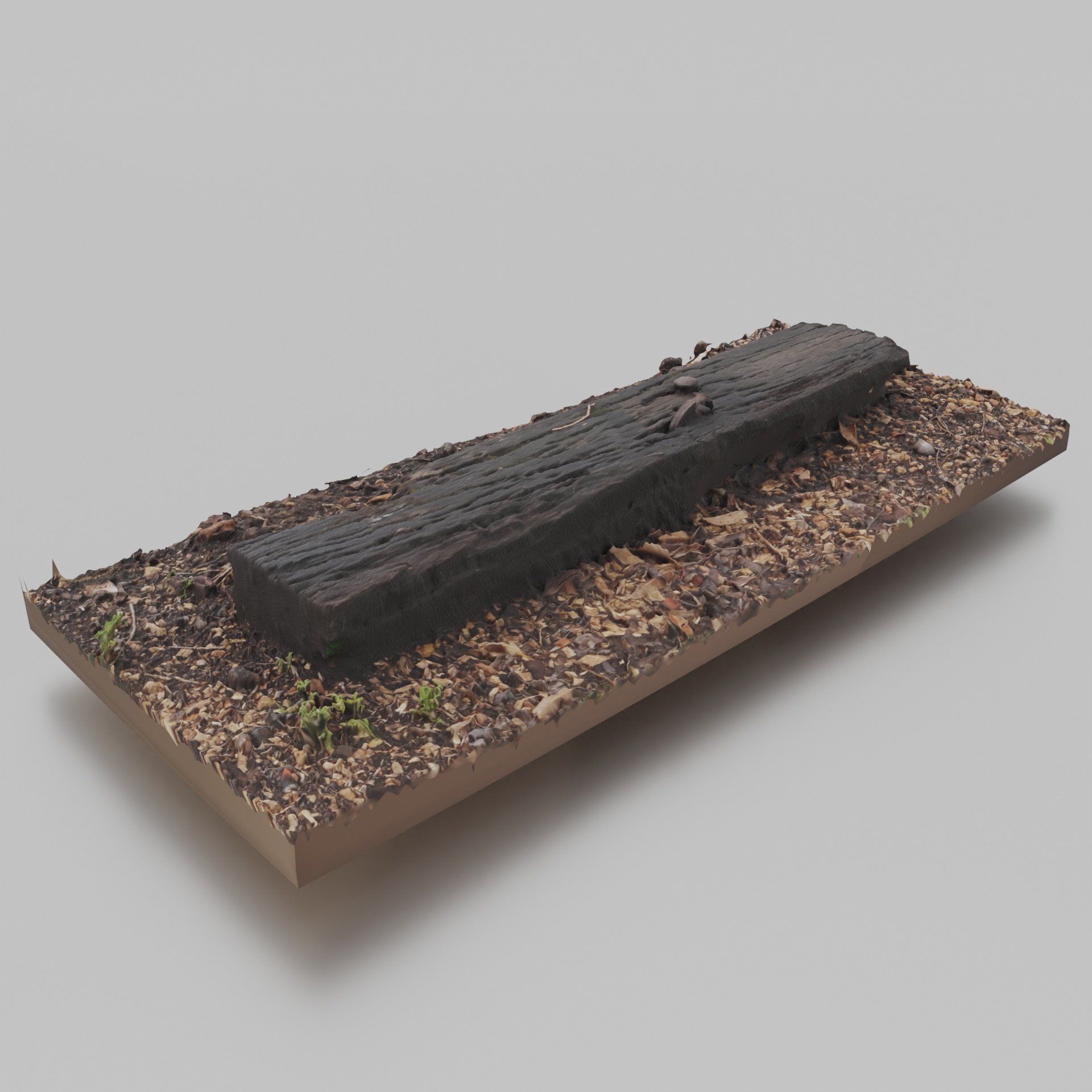 Plank 2.jpg