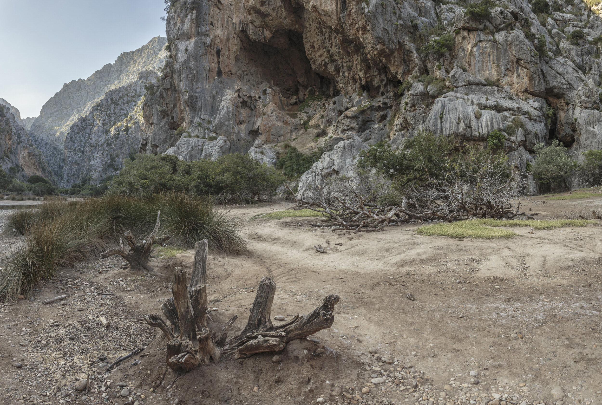 Dry River