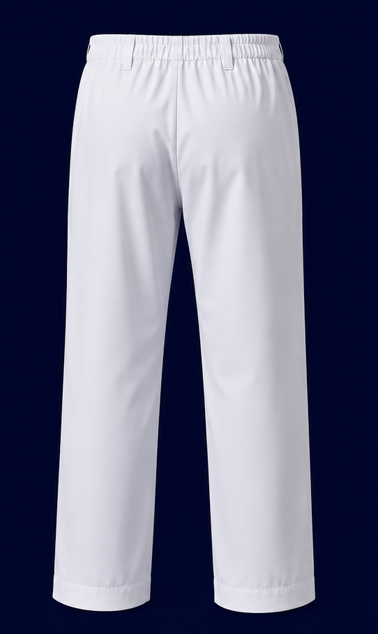Trousers back.png