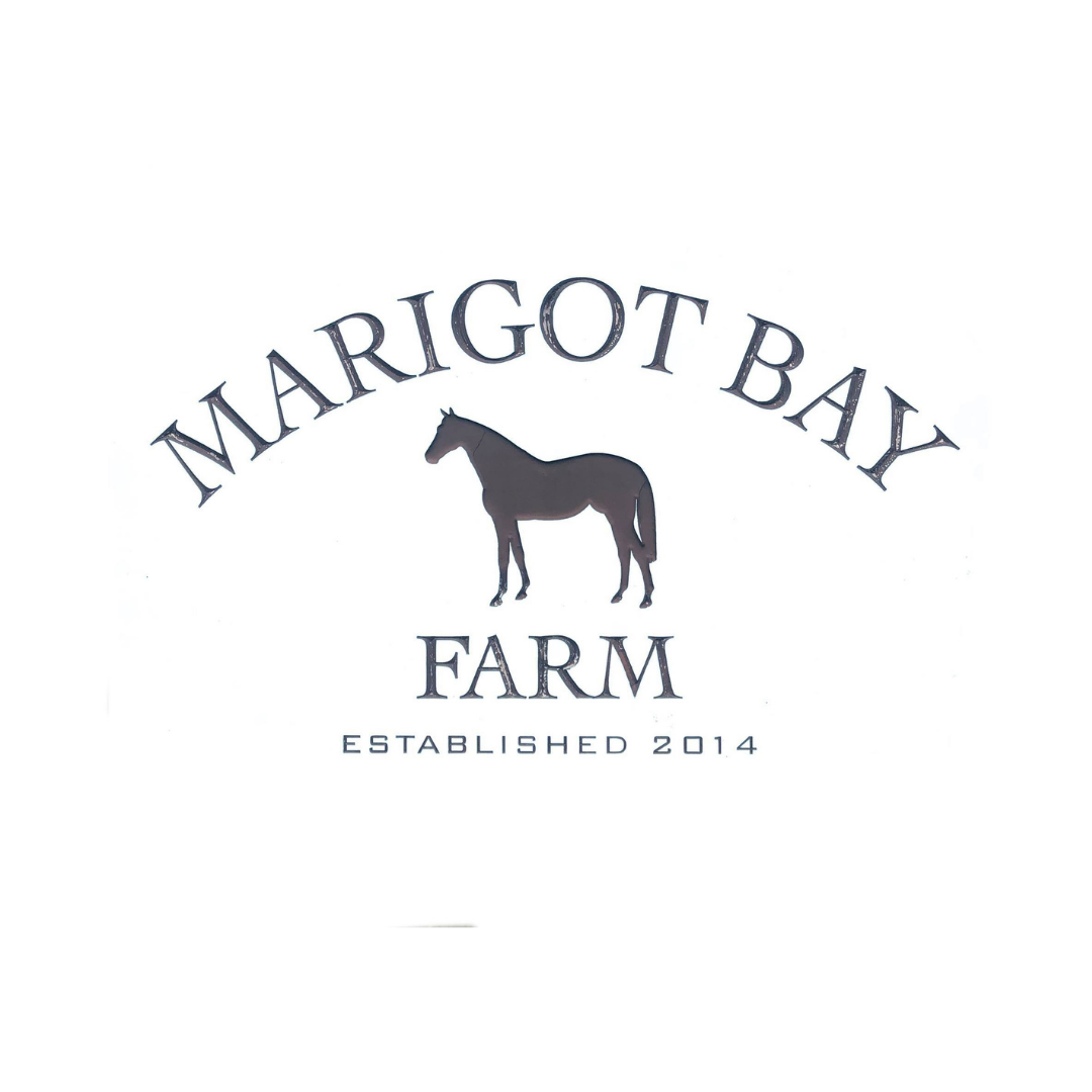 Our Work — Four Oaks