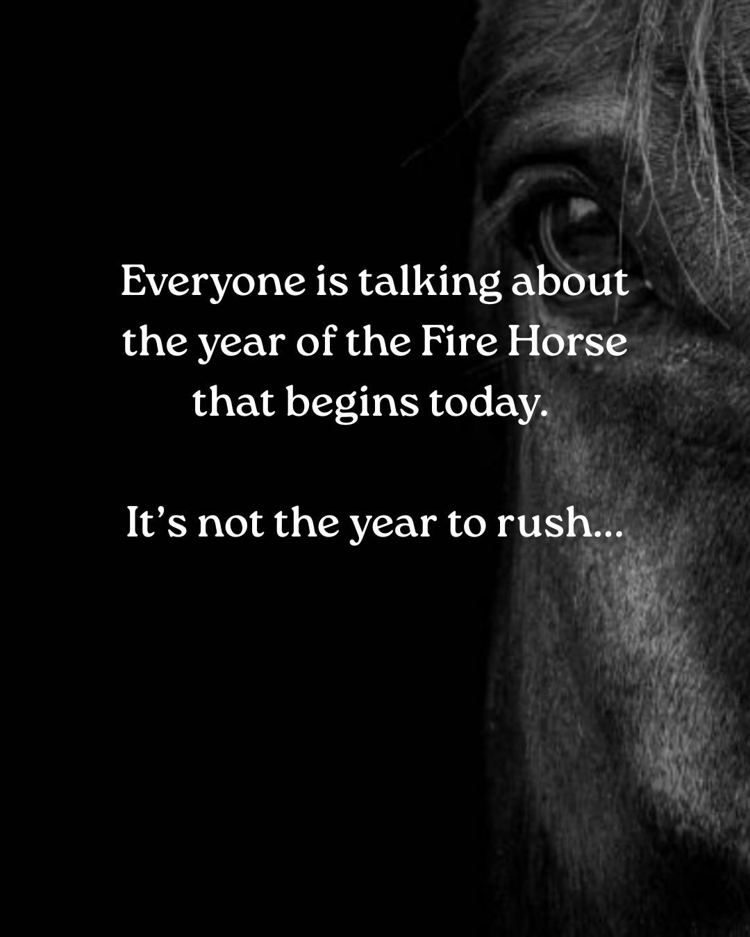 🔥 The slow burn.

Everyone (at least in the well-being echo chamber) is talking about the year of the Fire Horse than begins today.

I started to research the history and its wild that the last fire horse led the birth rates in Japan to drop so that