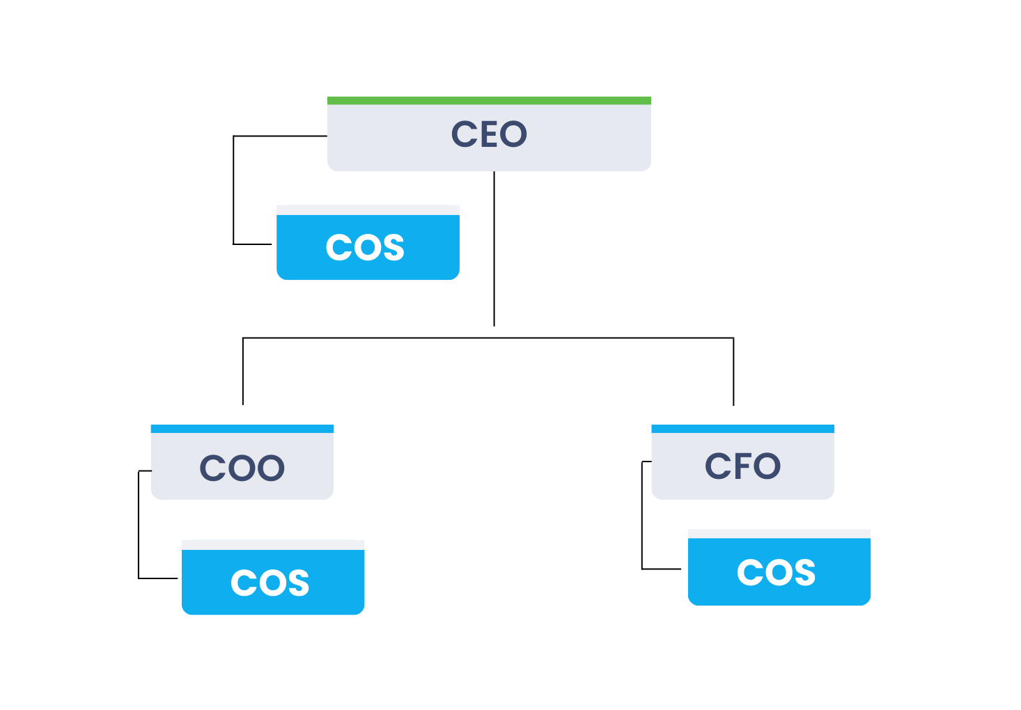 Chief of Staff reporting to CEO and supporting COO and CFO.