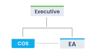 Chief of Staff Organizational Chart: Role Essentials — Next Level Coaching