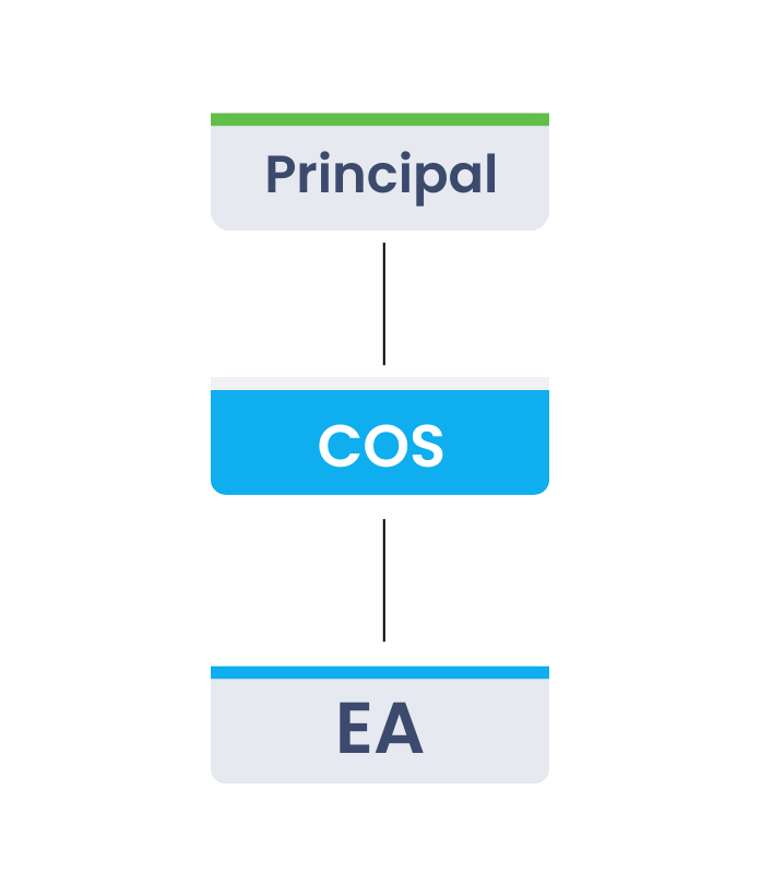 Chief of Staff Organizational Chart: Role Essentials — Next Level Coaching