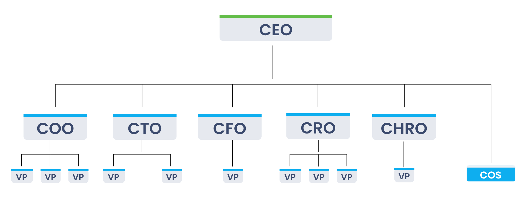 Chief of Staff positioned at a Vice President level.