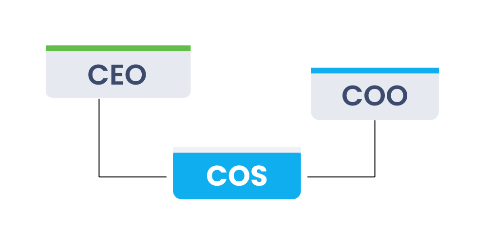 Chief of Staff Organizational Chart: Role Essentials — Next Level Coaching